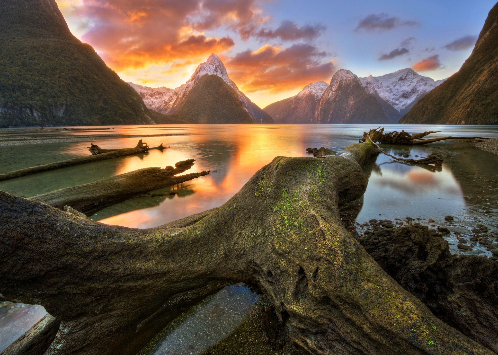 The Milky Pink Sea At Milford Sound 4K New Zealand Wallpapers