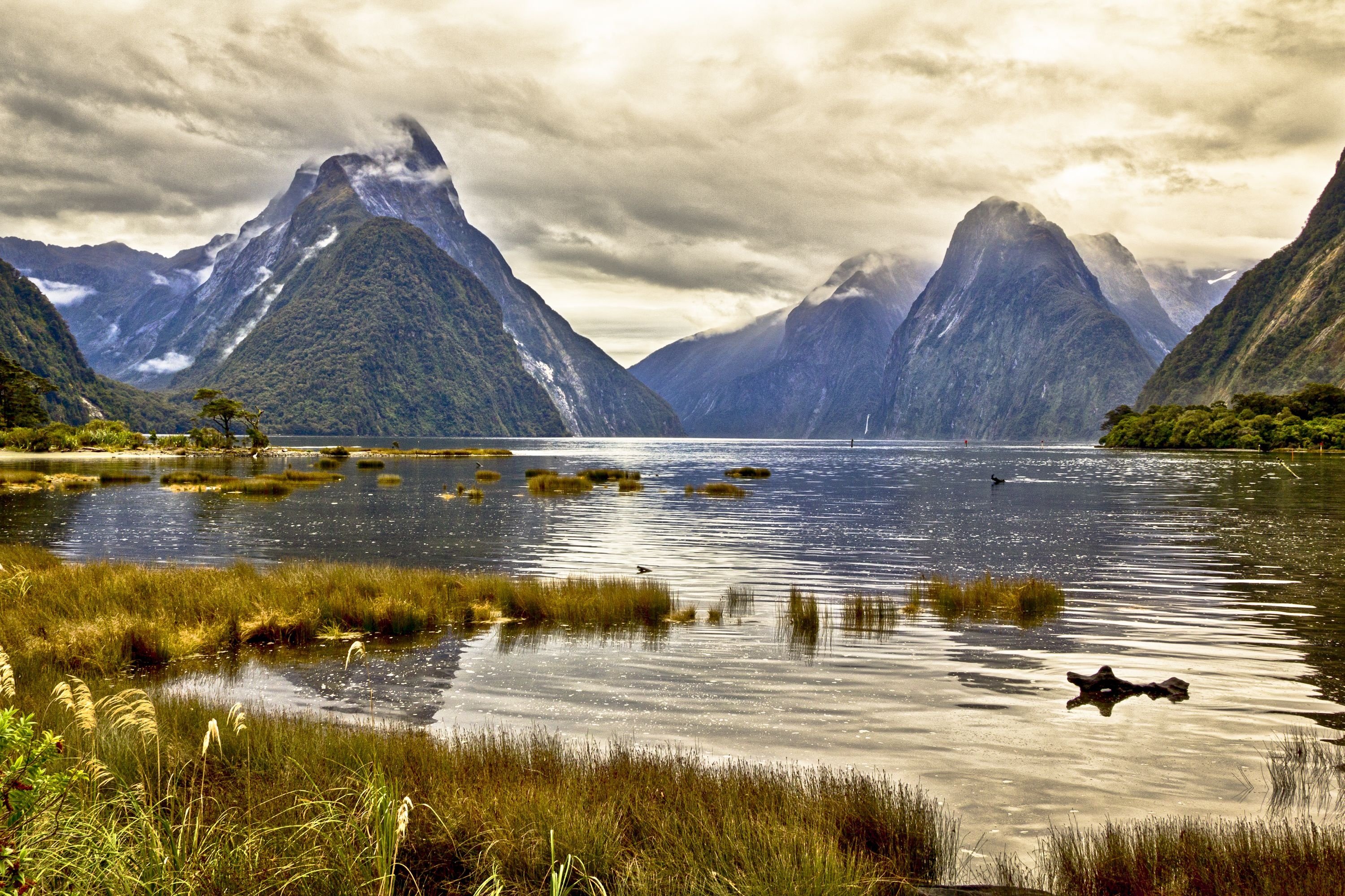 The Milky Pink Sea At Milford Sound 4K New Zealand Wallpapers