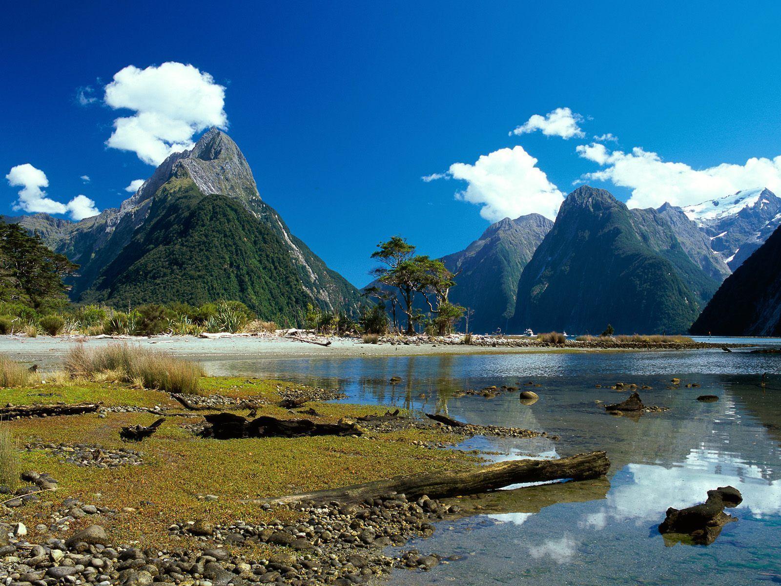 The Milky Pink Sea At Milford Sound 4K New Zealand Wallpapers