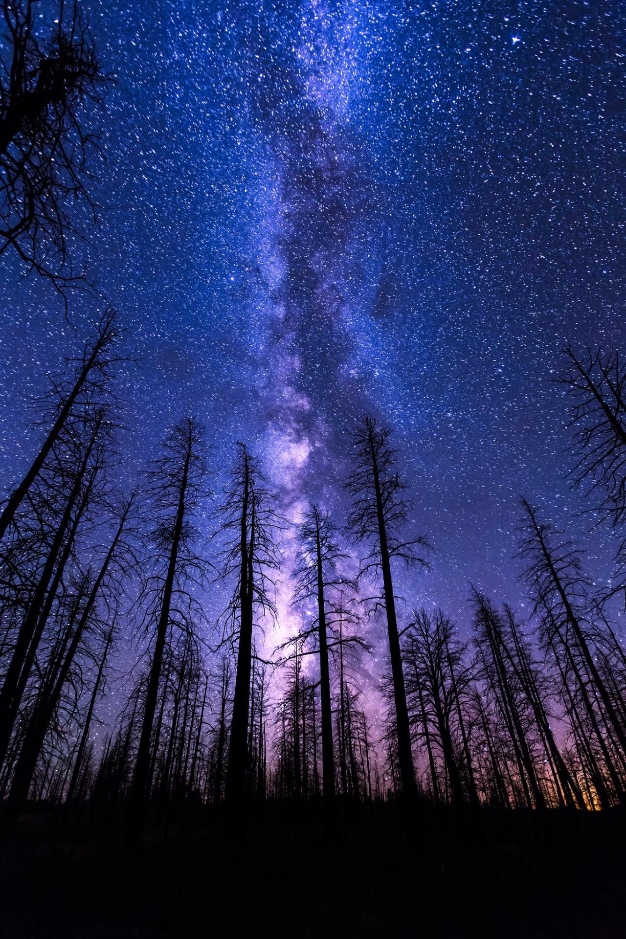 The Night Sky Wallpapers