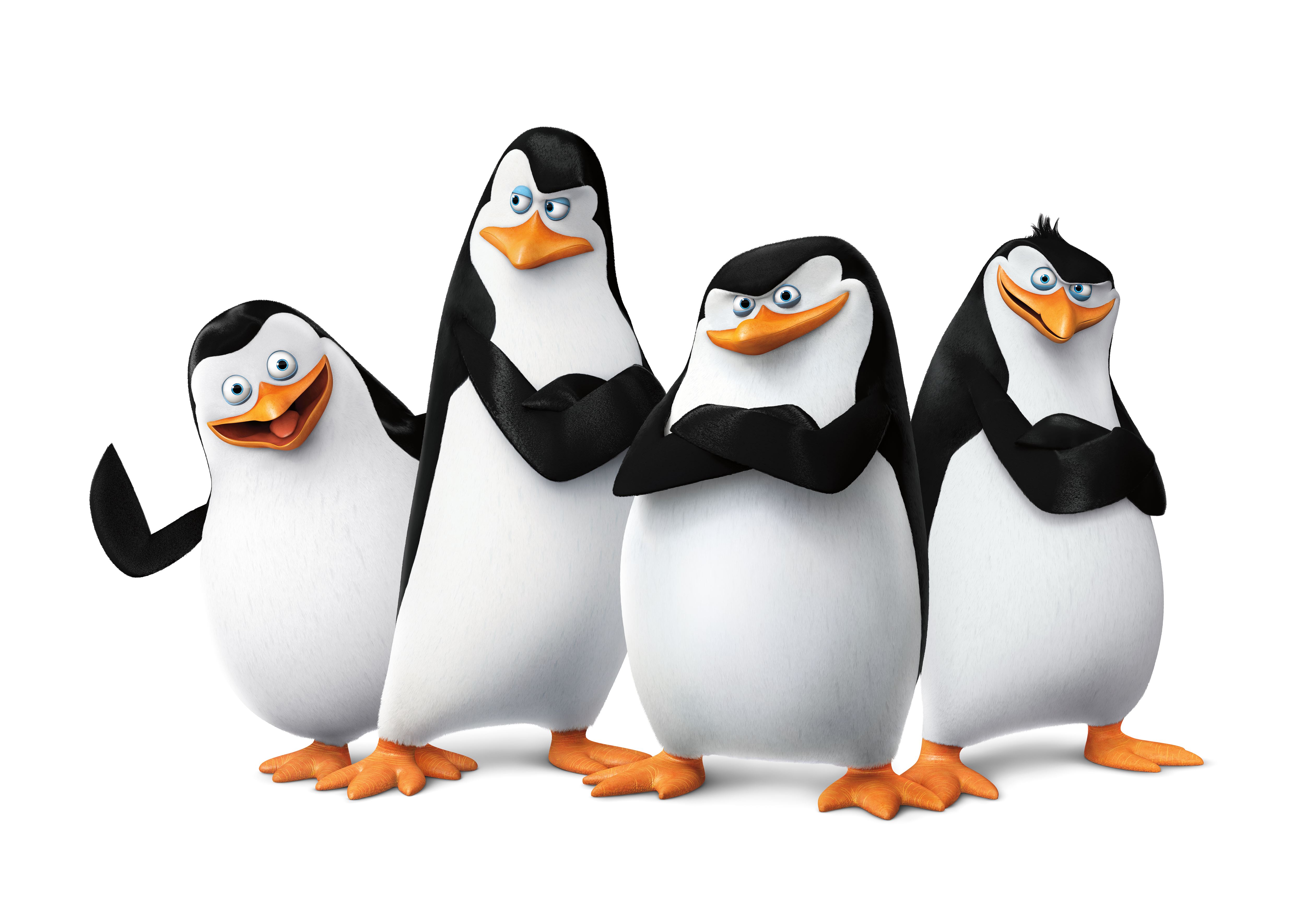 The Penguins Of Madagascar Wallpapers