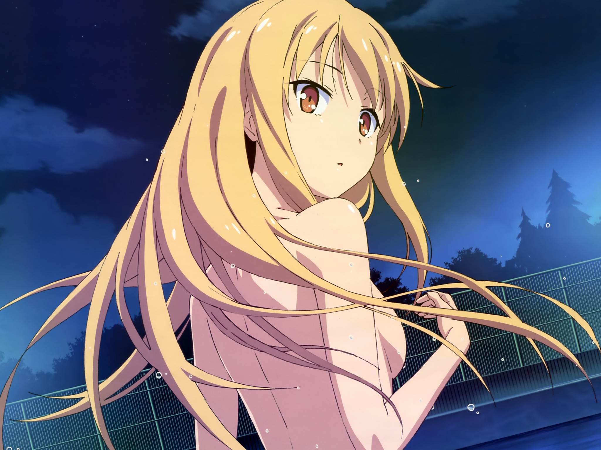 The Pet Girl Of Sakurasou Wallpapers