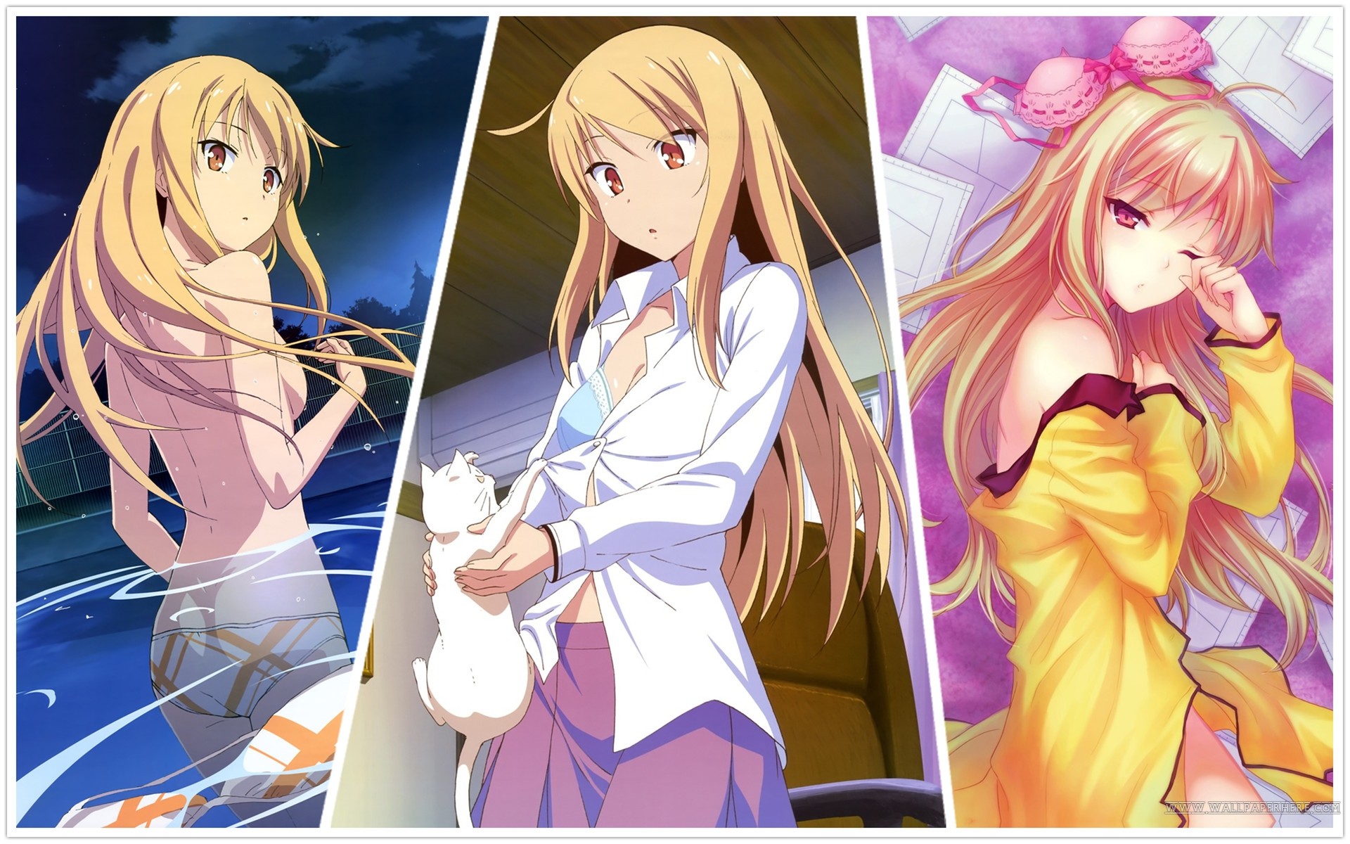 The Pet Girl Of Sakurasou Wallpapers