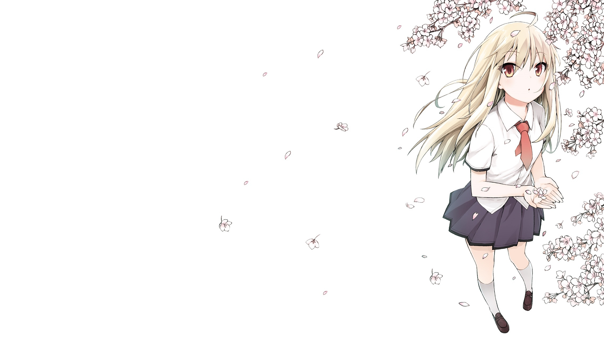 The Pet Girl Of Sakurasou Wallpapers