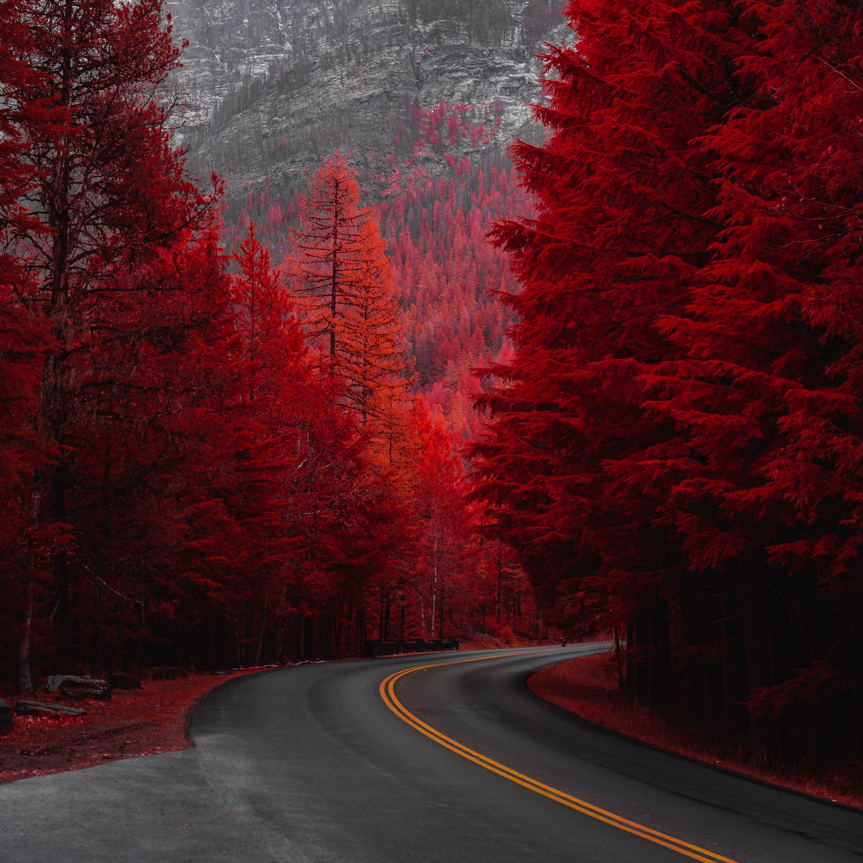 The Red Road Wallpapers