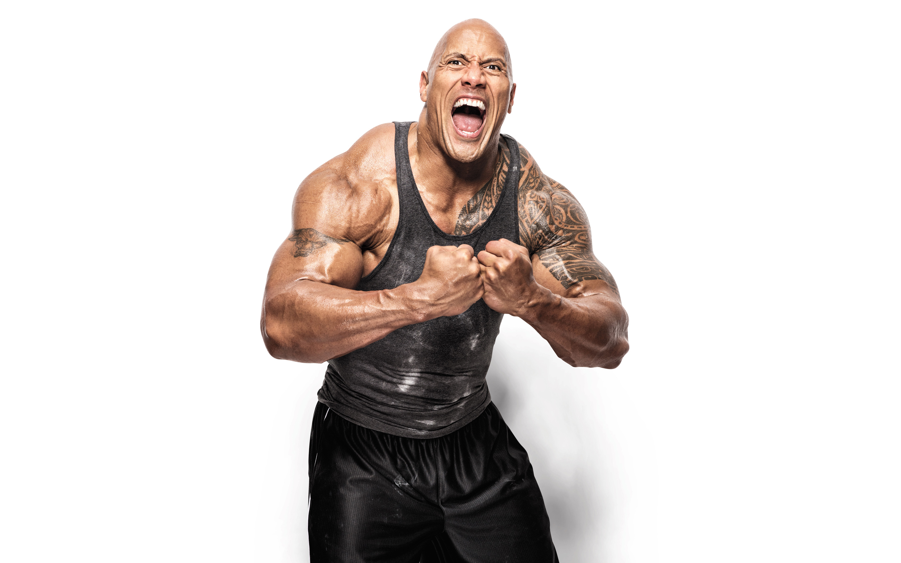 The Rock Wallpapers