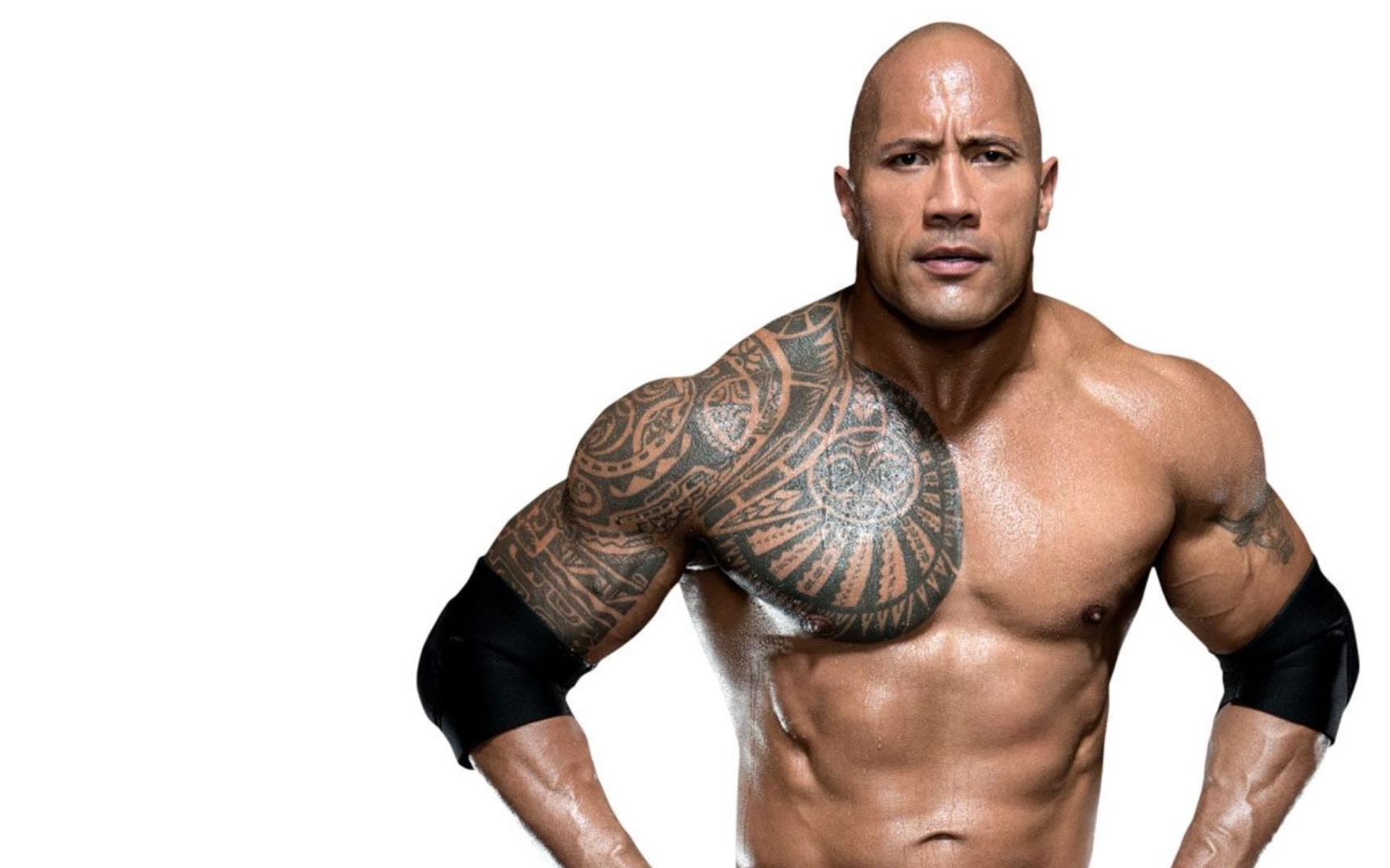 The Rock Wallpapers