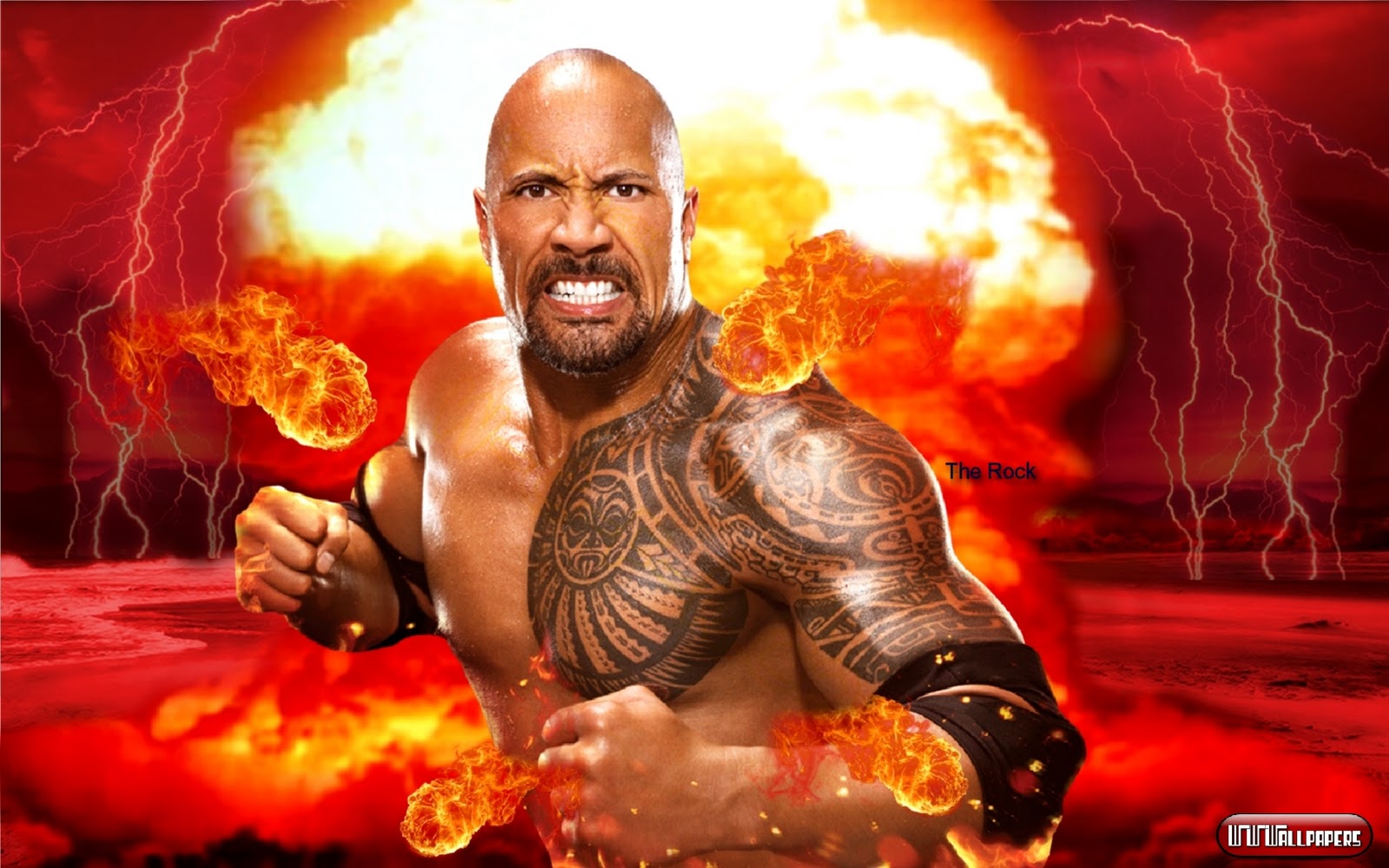 The Rock Wallpapers