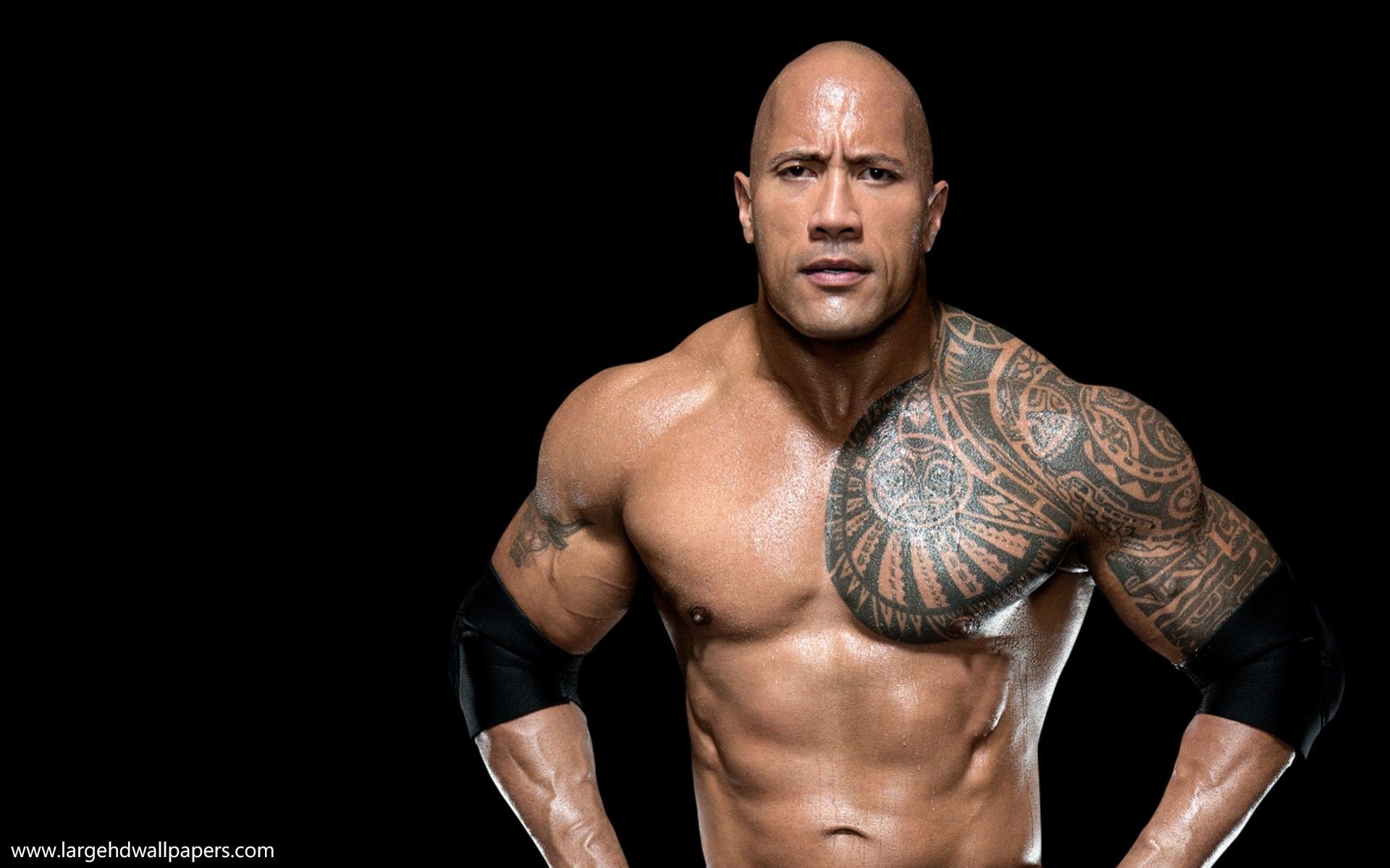 The Rock Wwe Wallpapers