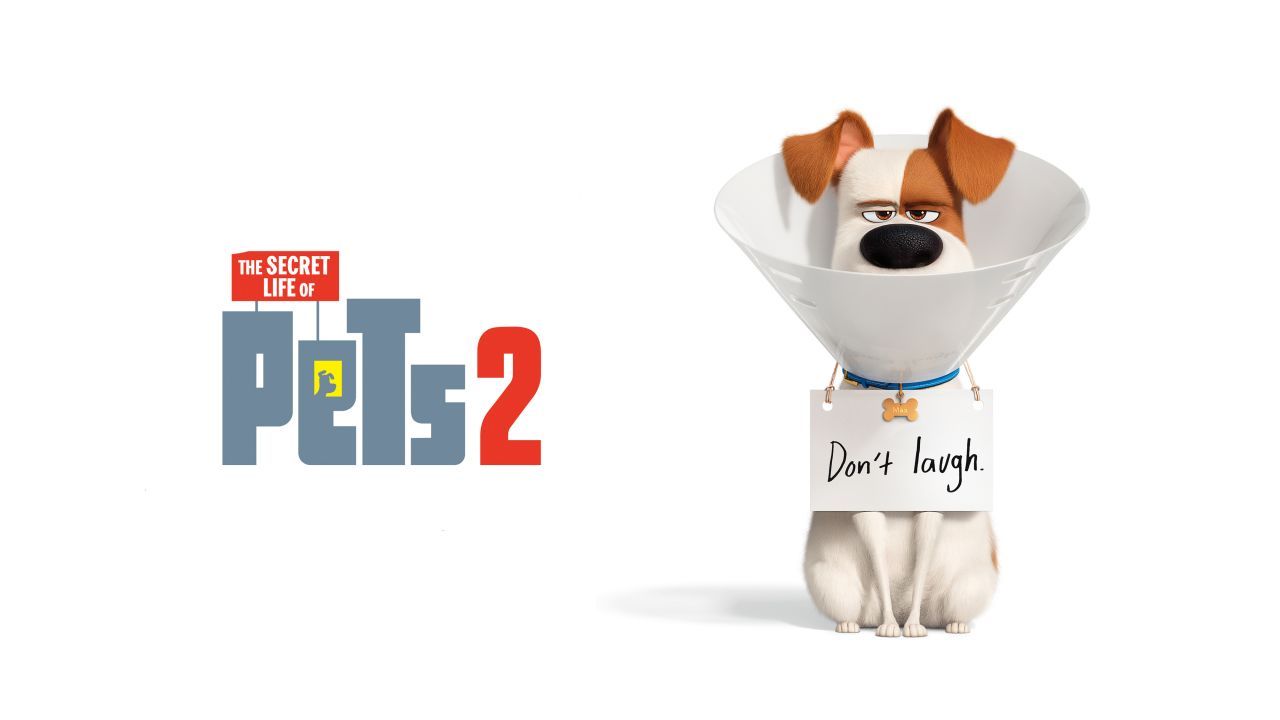 The Secret Life Of Pets 2 Movie Wallpapers