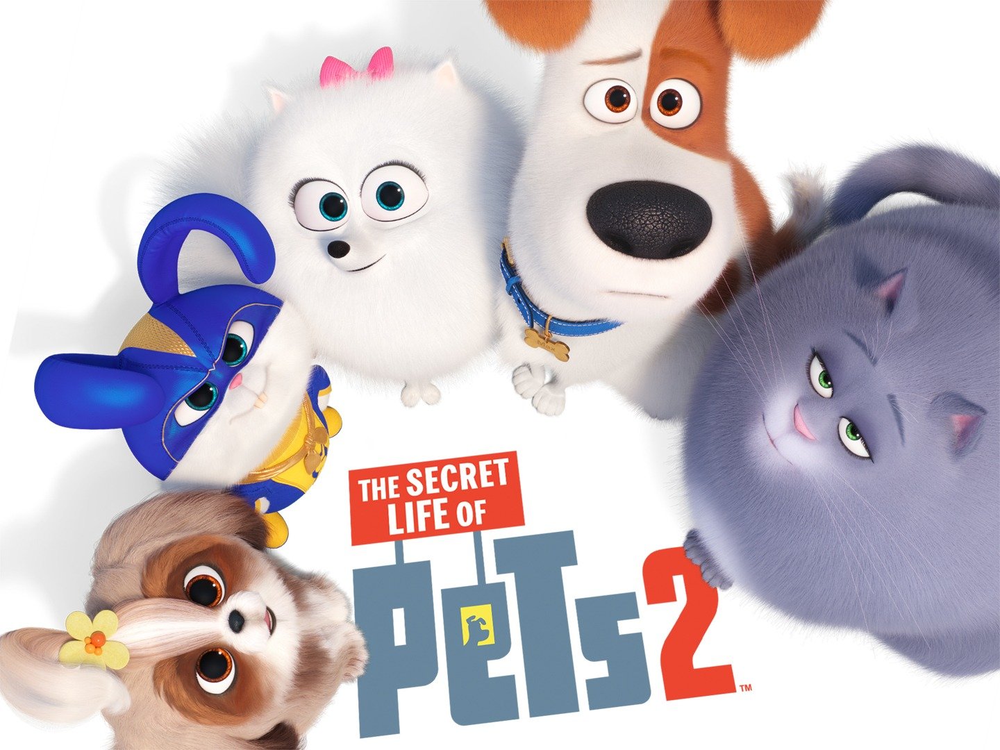 The Secret Life Of Pets 2 Wallpapers