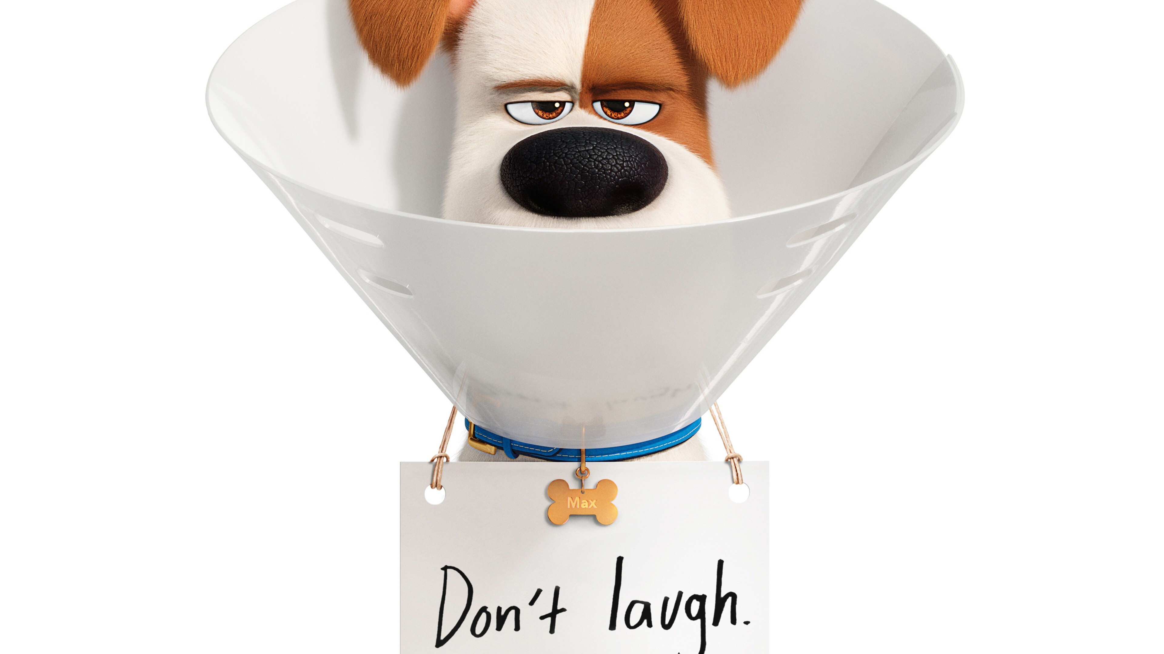 The Secret Life Of Pets 2 Wallpapers