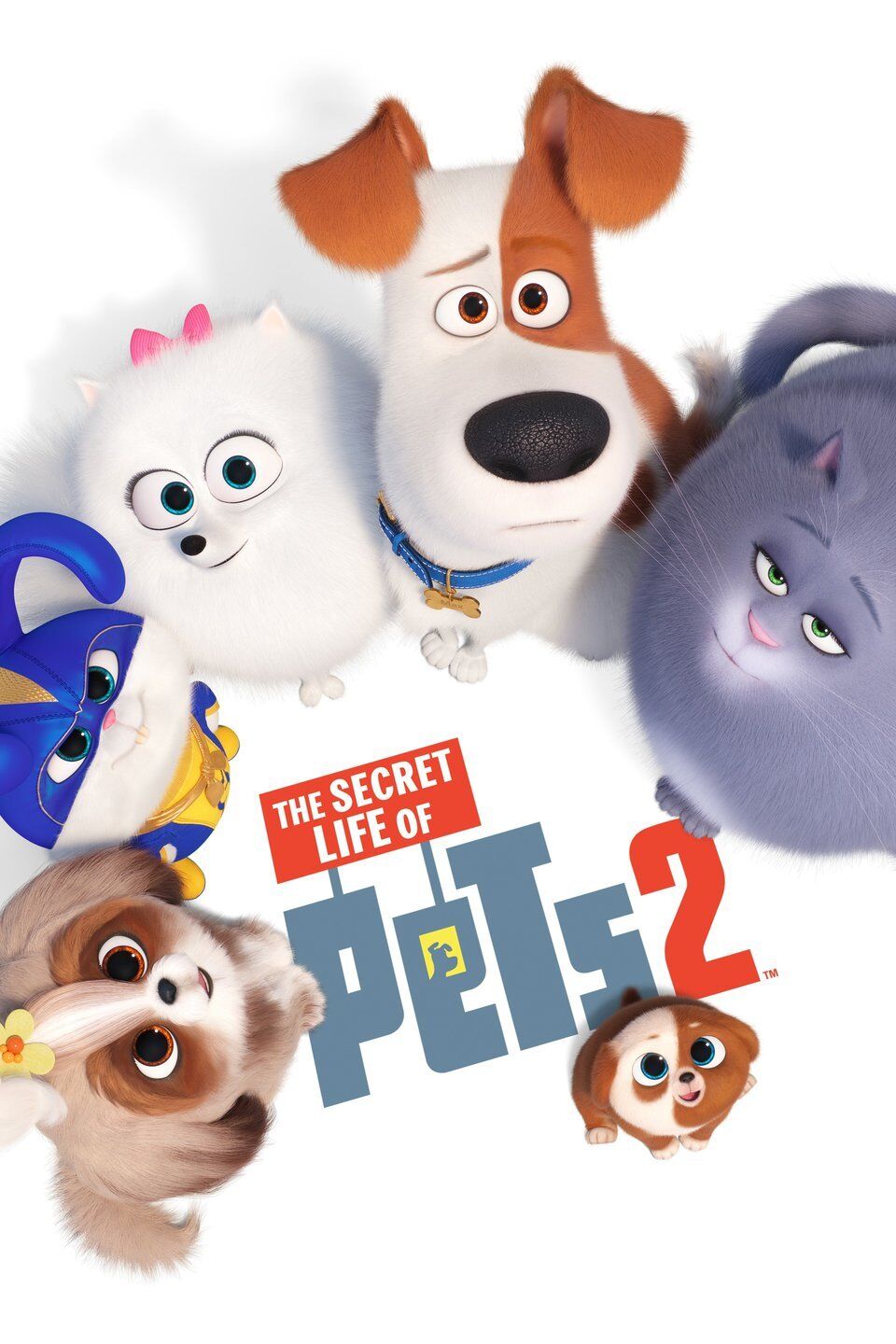 The Secret Life Of Pets 2019 Wallpapers