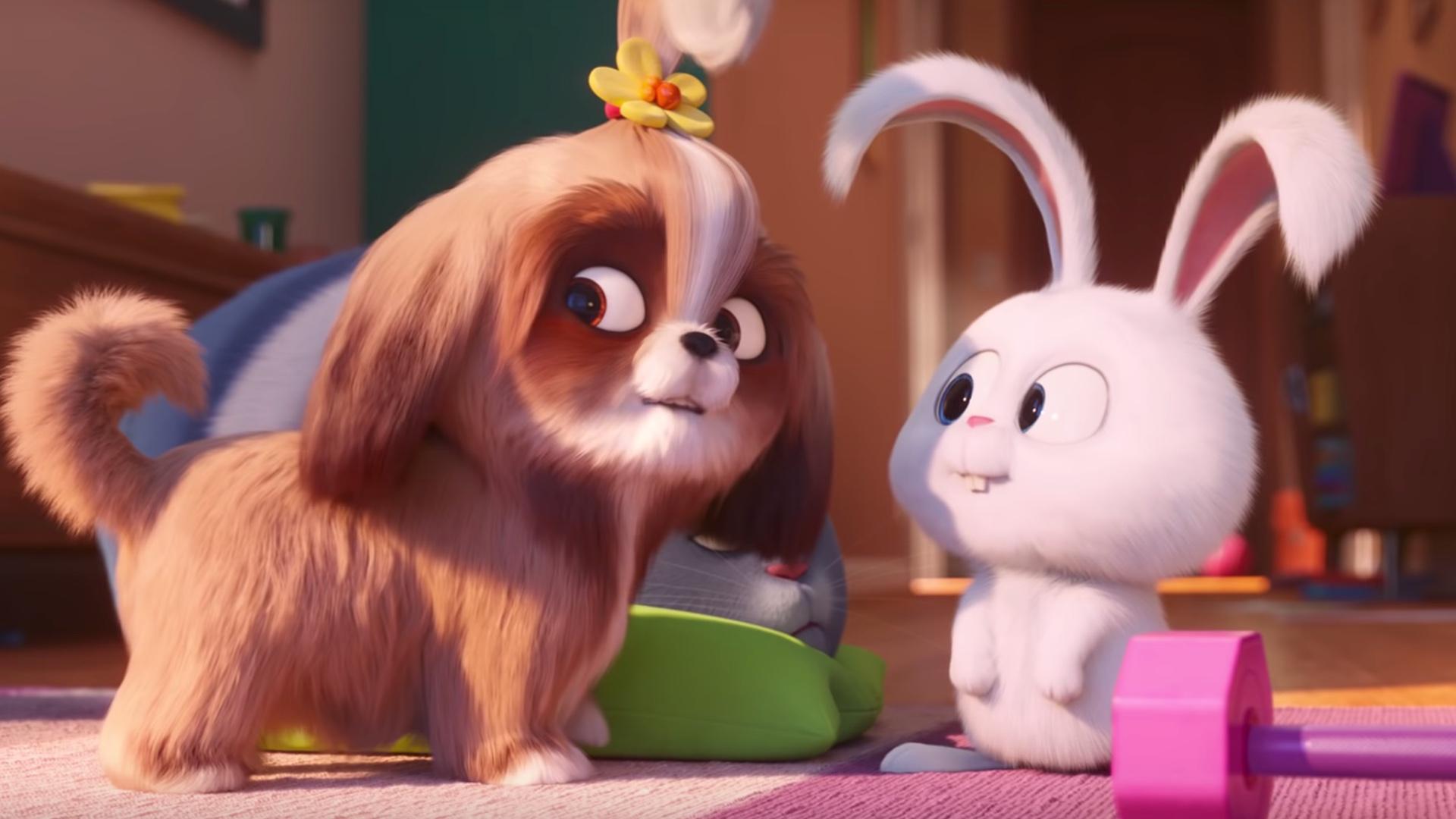 The Secret Life Of Pets 2019 Wallpapers