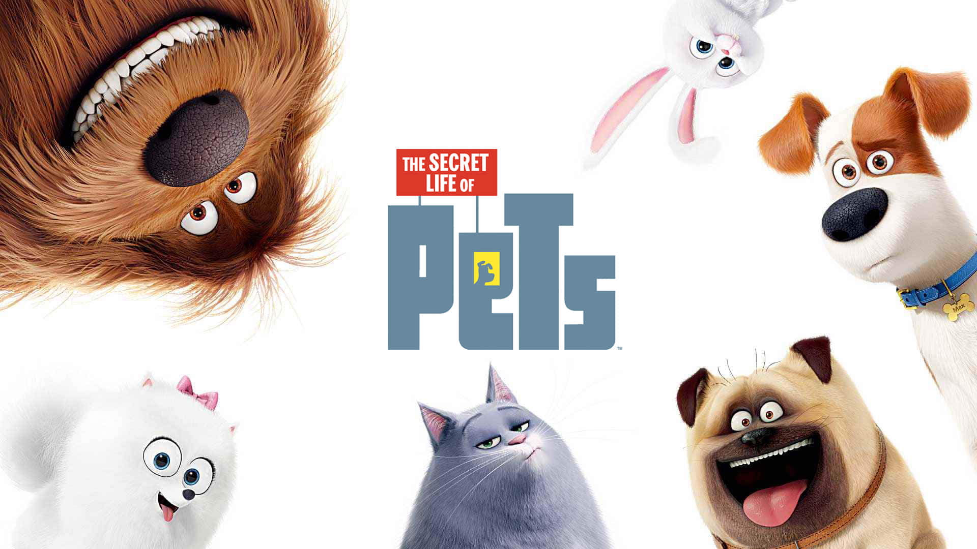 The Secret Life Of Pets Hd Wallpapers