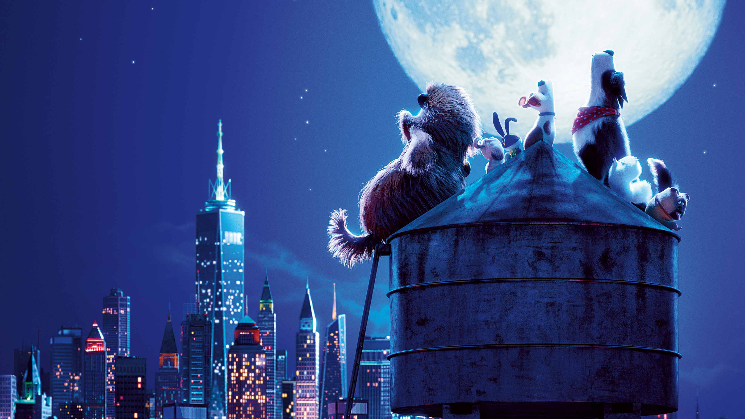 The Secret Life Of Pets Hd Wallpapers