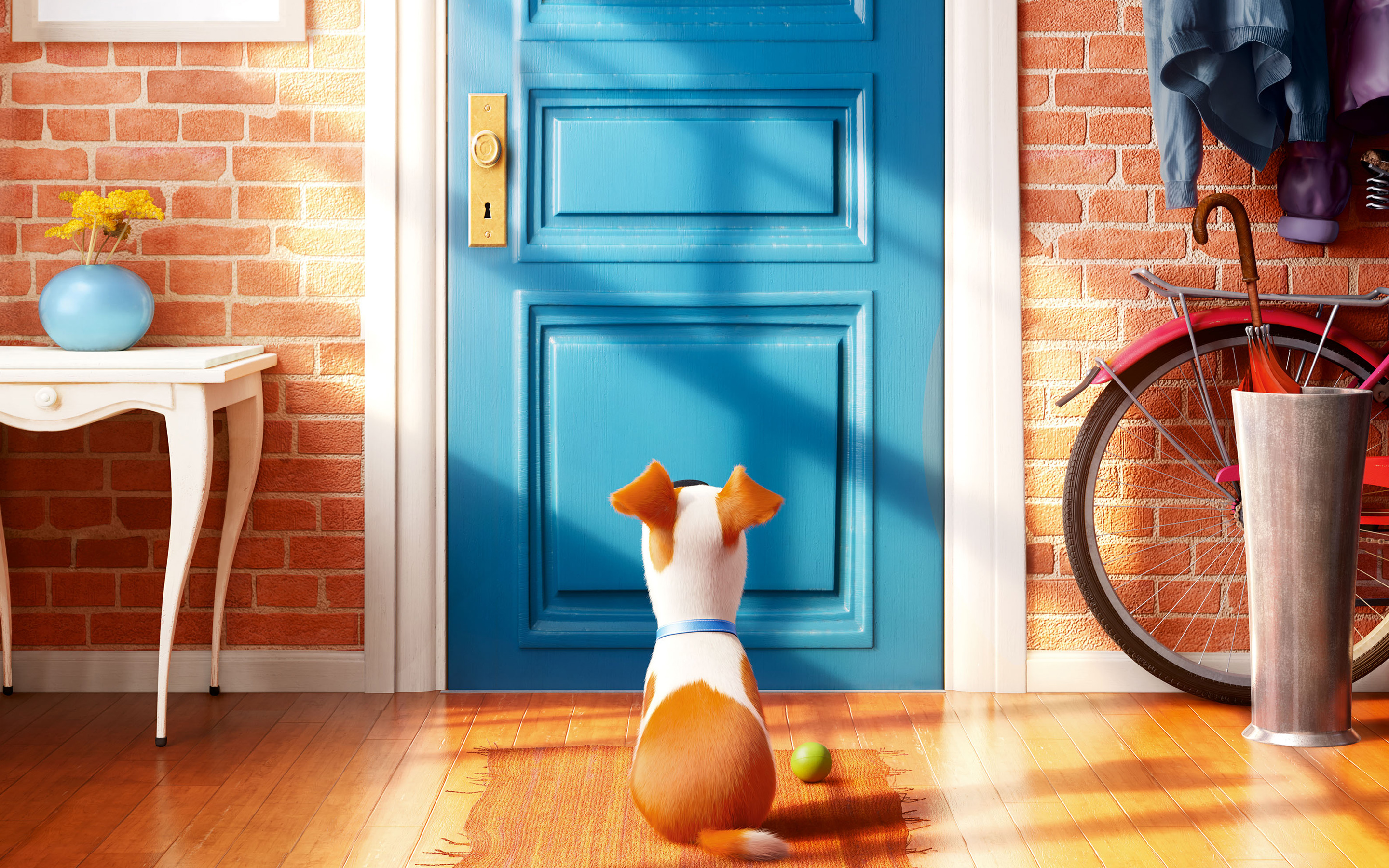 The Secret Life Of Pets Hd Wallpapers