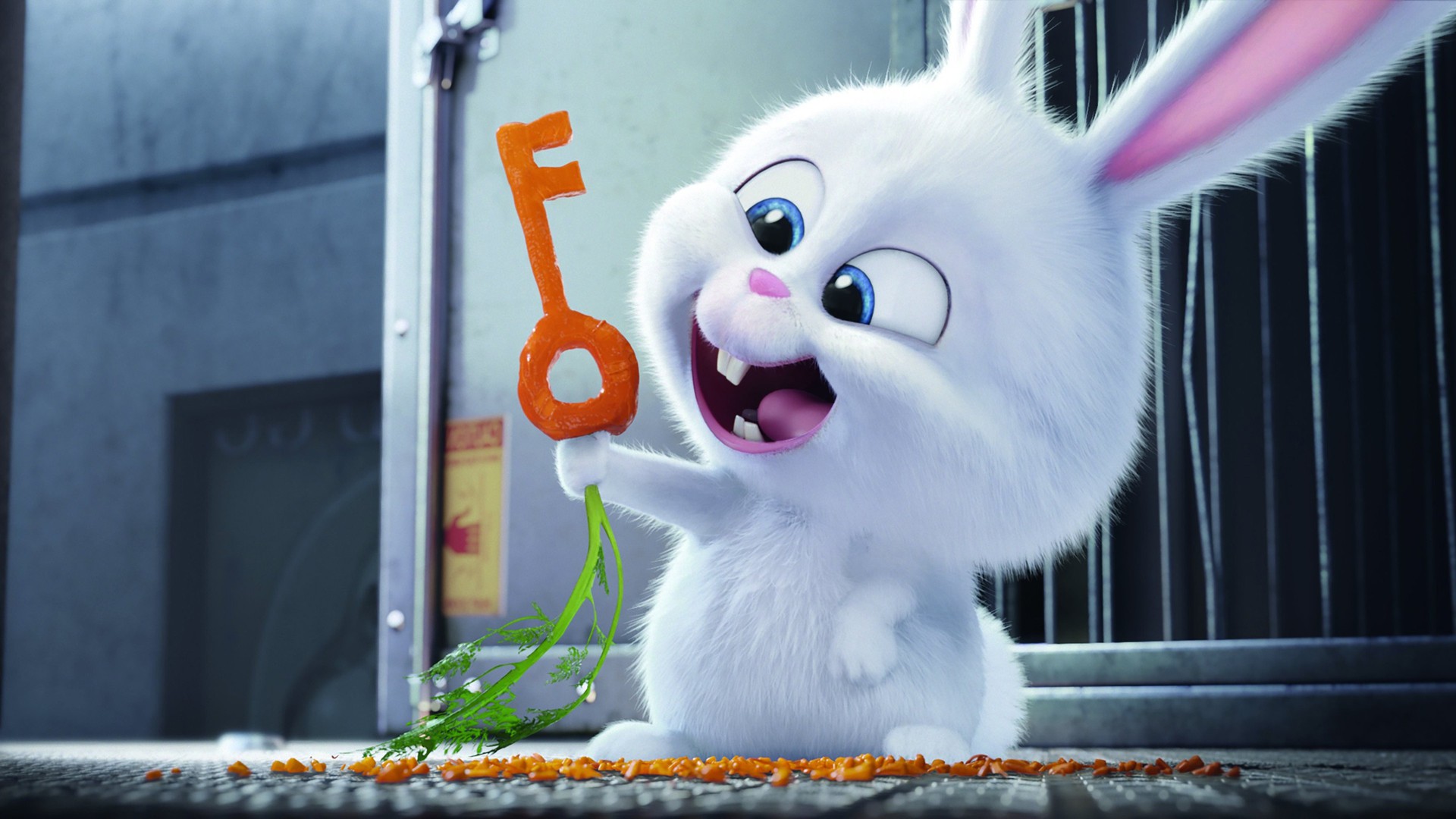 The Secret Life Of Pets Hd Wallpapers