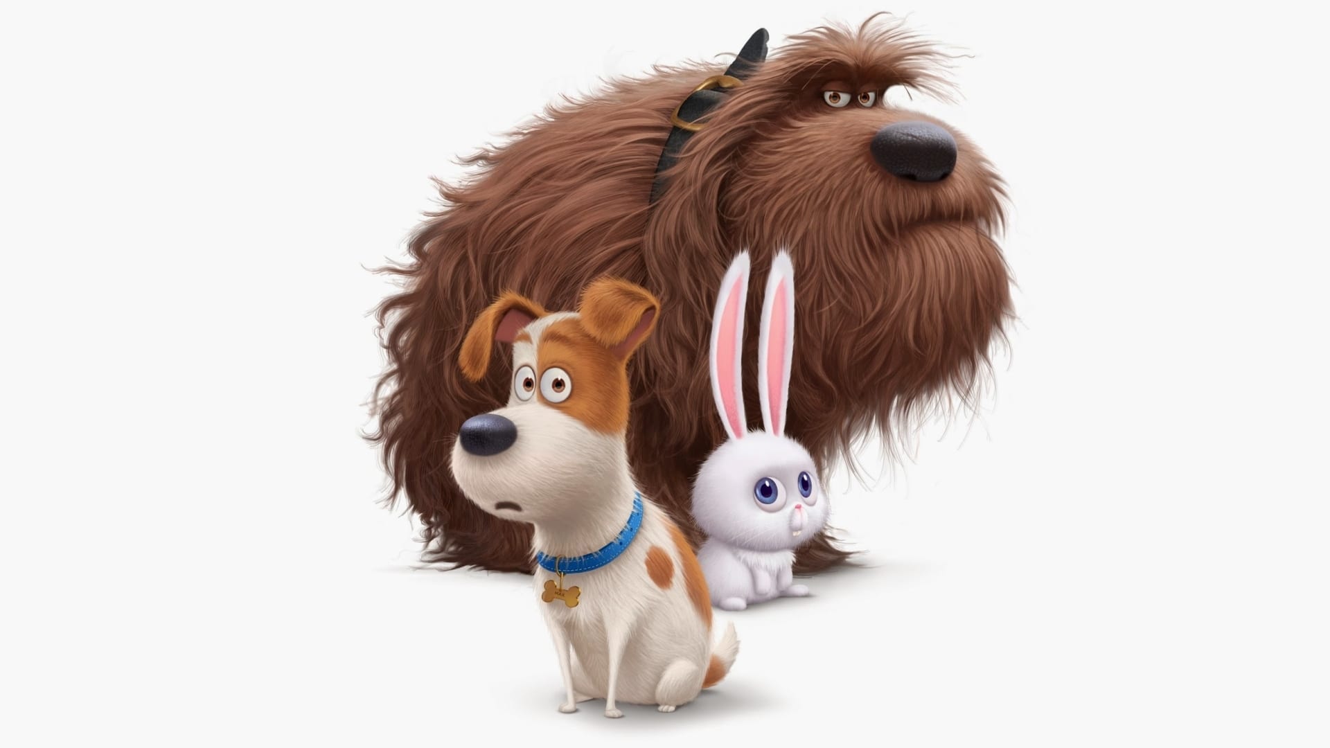 The Secret Life Of Pets Wallpapers