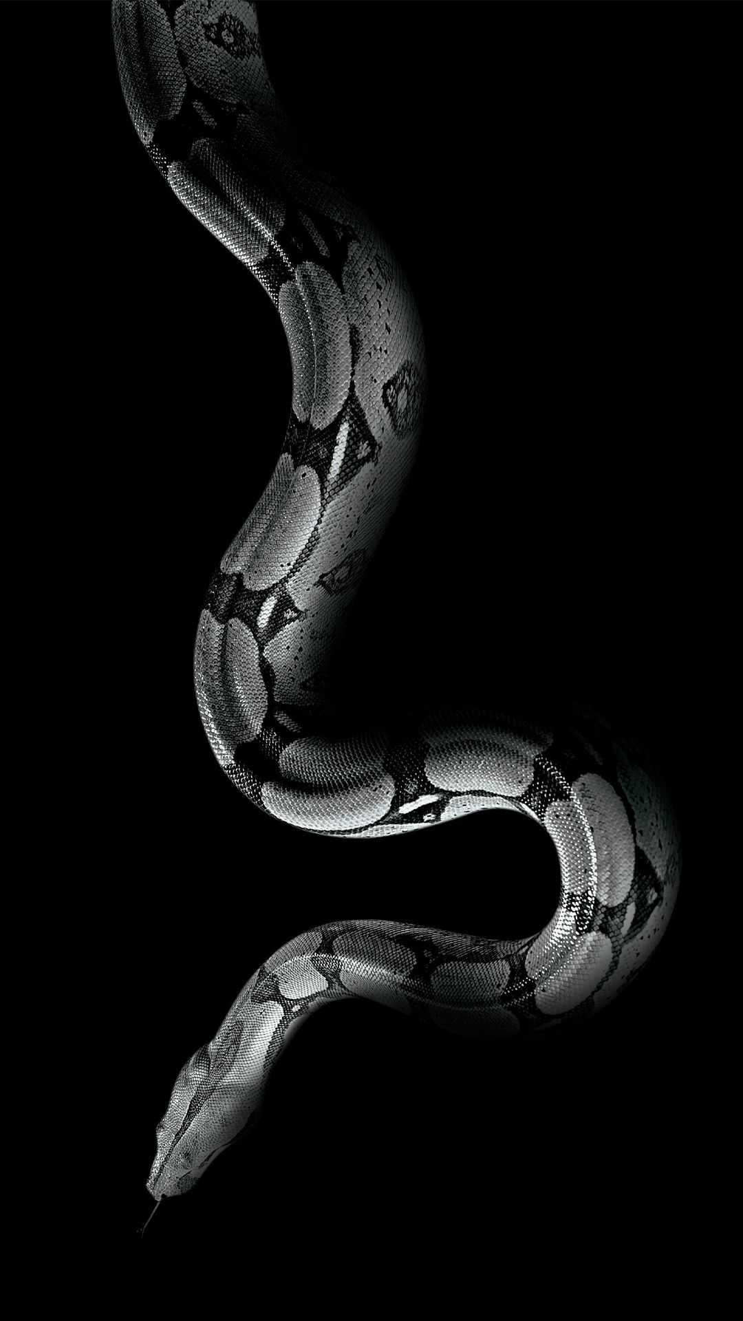 The Serpent Wallpapers