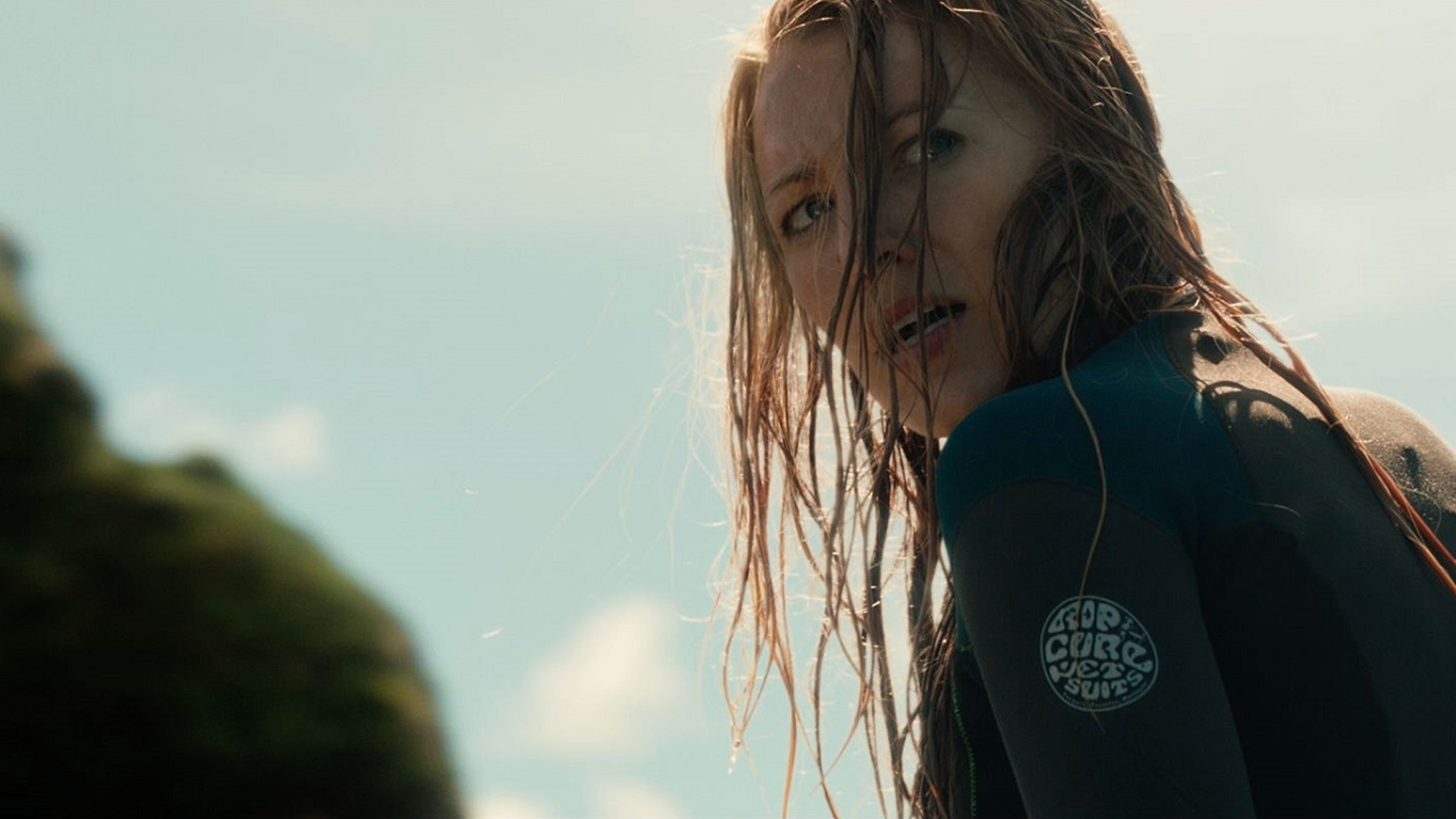 The Shallows Wallpapers