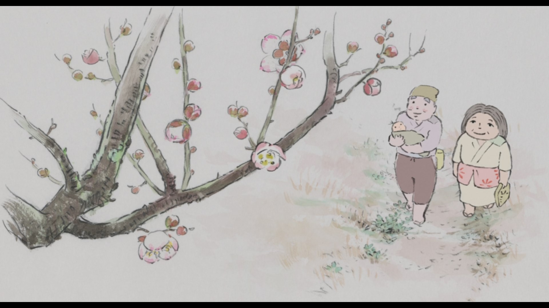 The Tale Of The Princess Kaguya Wallpapers