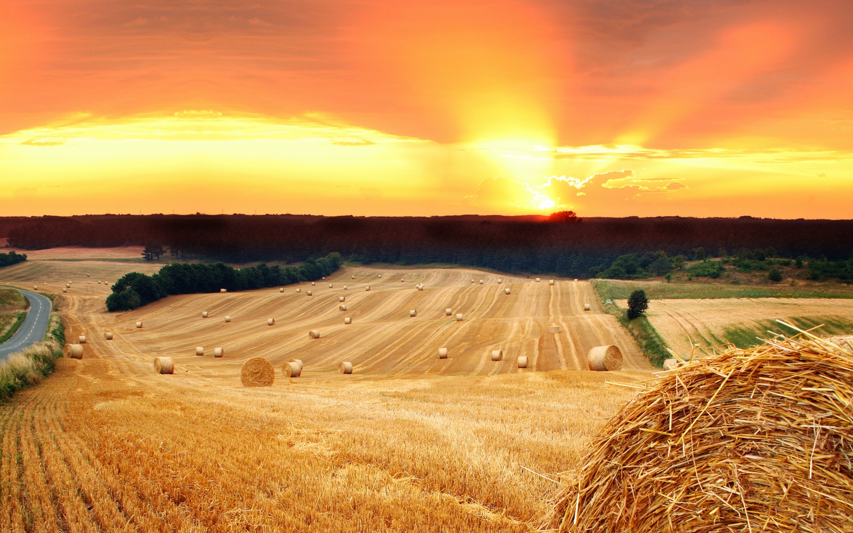 The Tree And Haystack Field Wallpapers