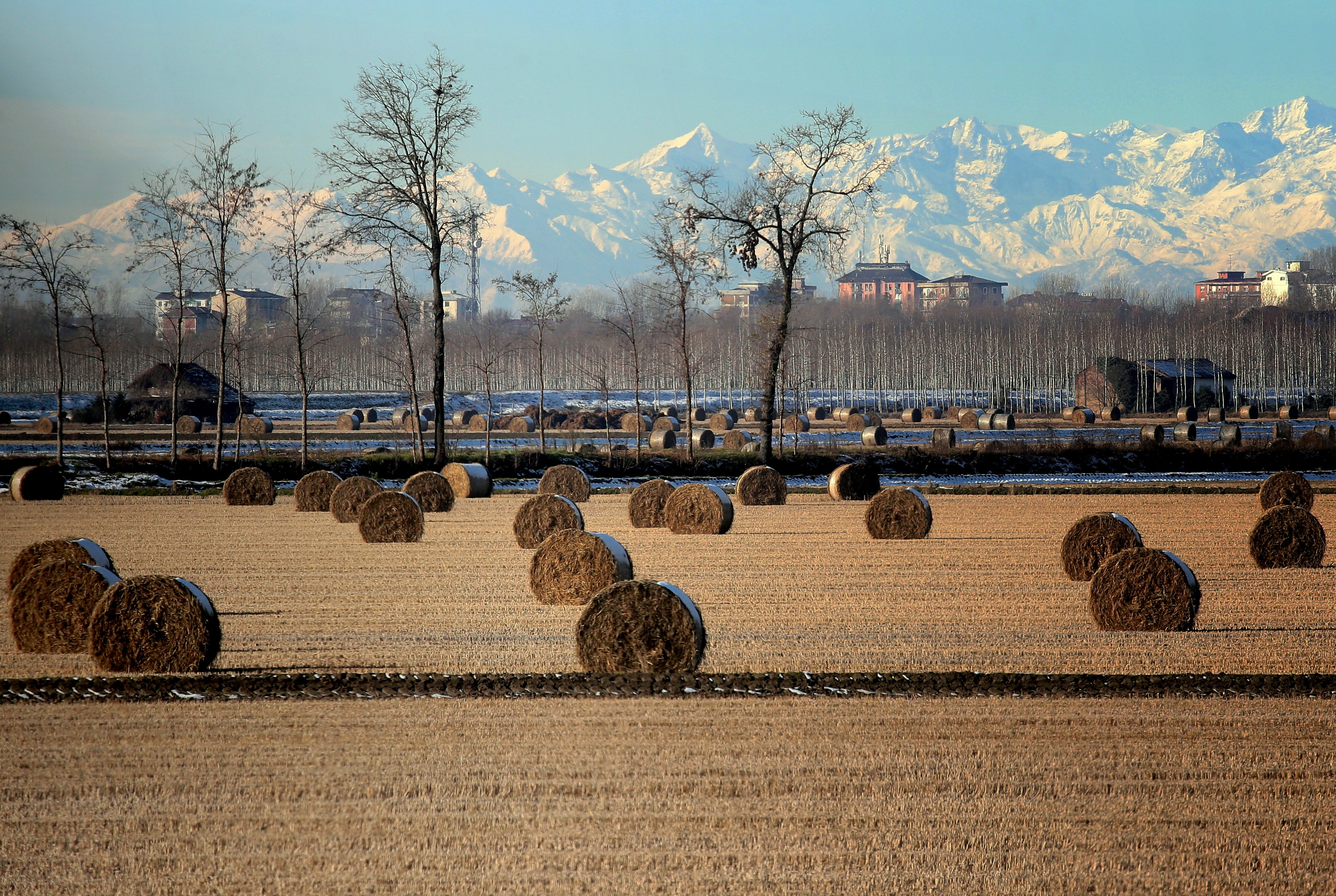 The Tree And Haystack Field Wallpapers