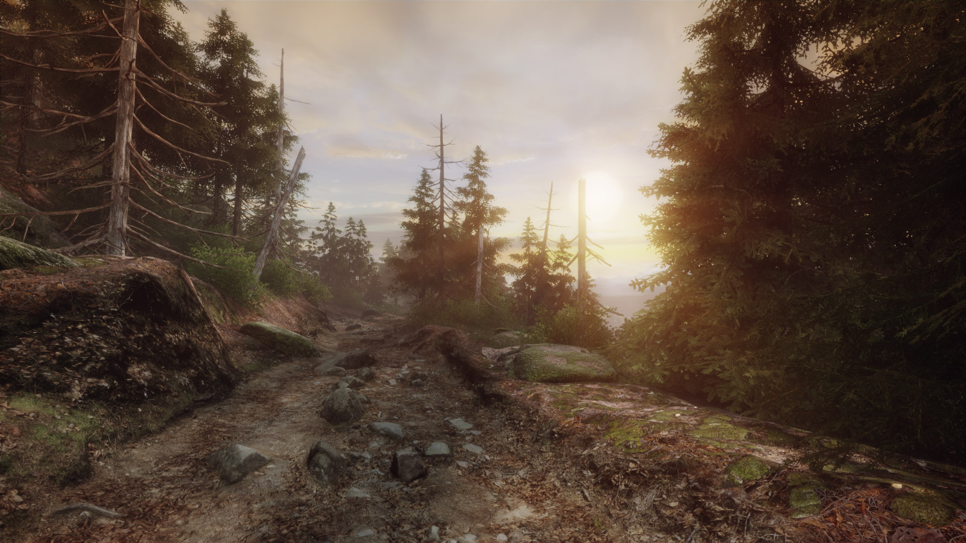 The Vanishing of Ethan Carter Wallpapers