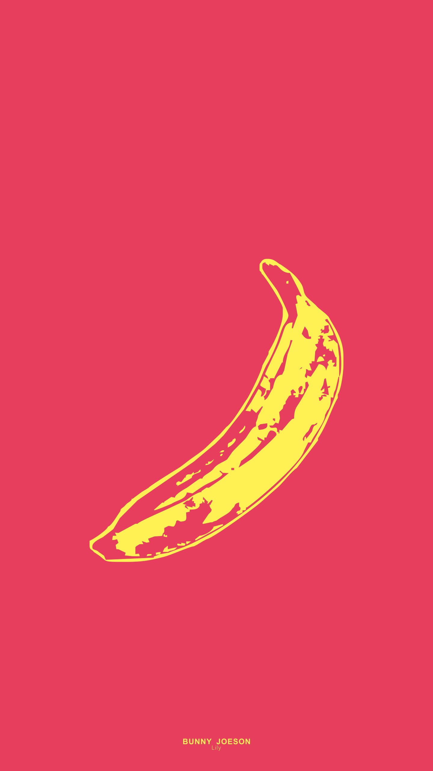 The Velvet Underground Wallpapers