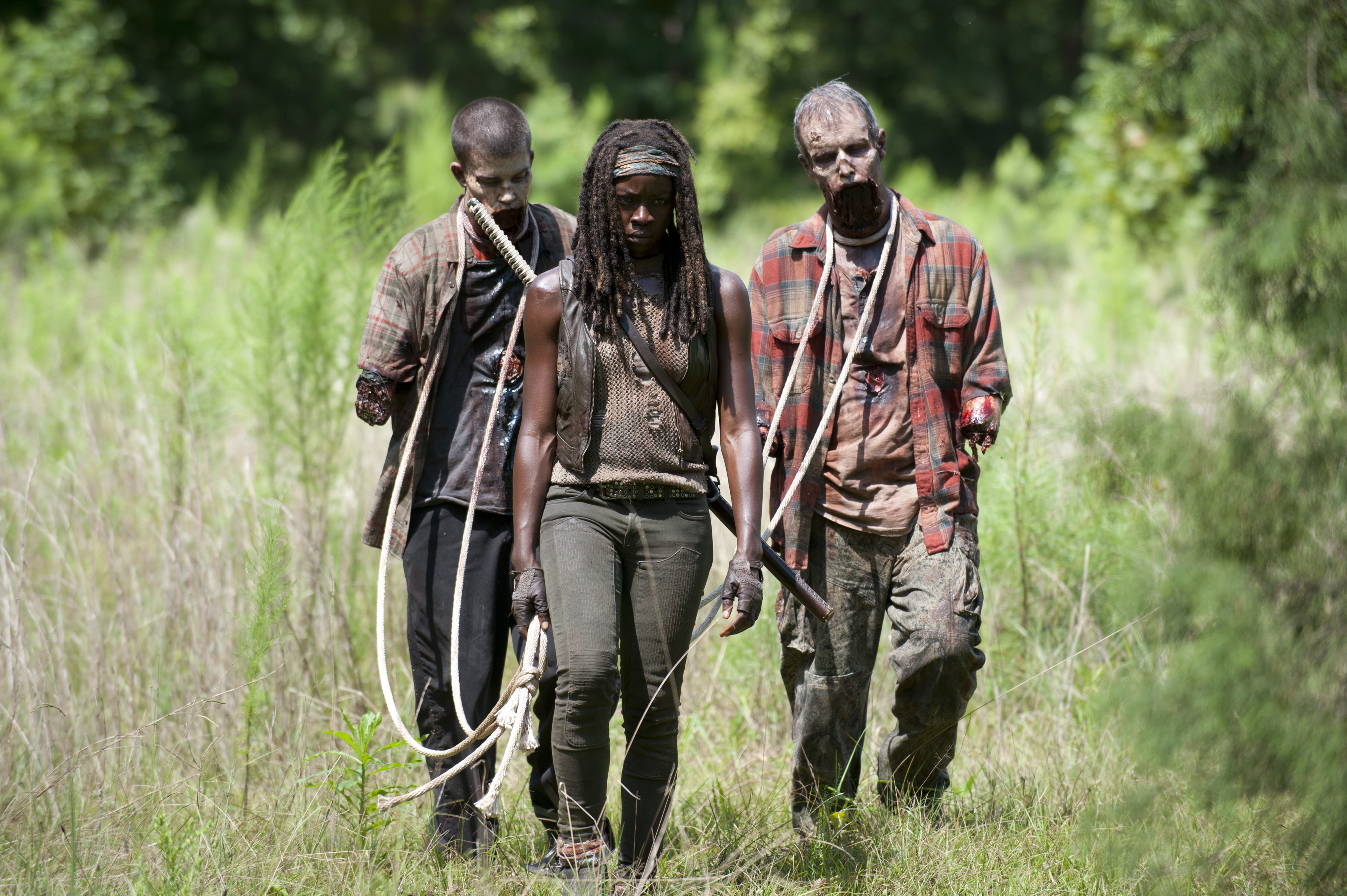 The Walking Dead: Michonne Wallpapers