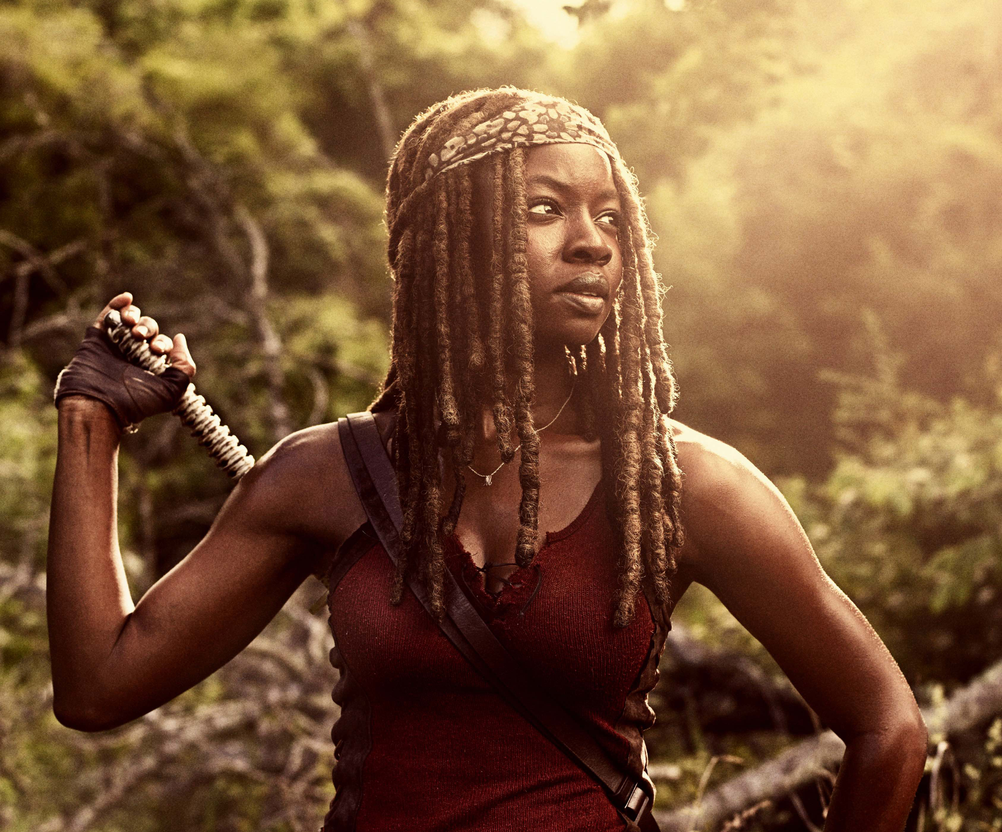 The Walking Dead: Michonne Wallpapers