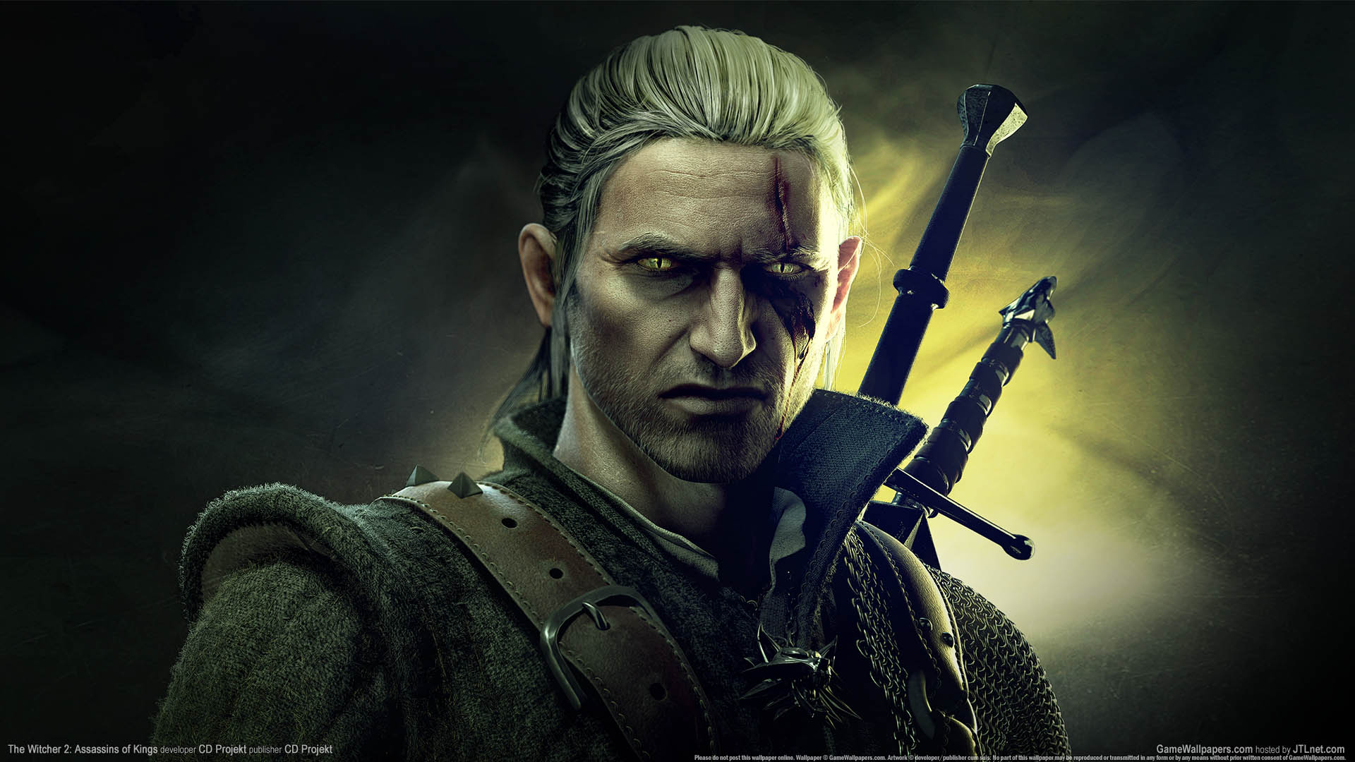 The Witcher 2: Assassins Of Kings Wallpapers