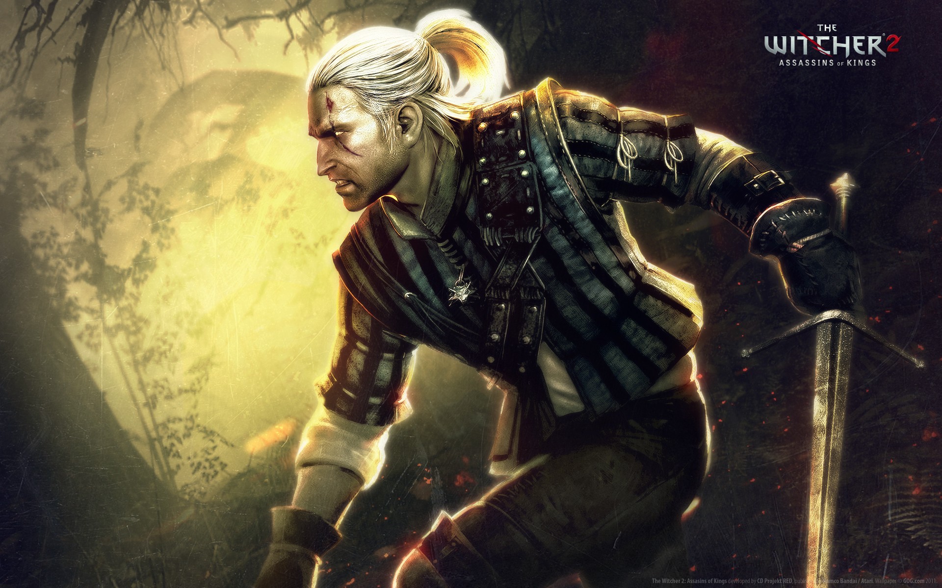 The Witcher 2: Assassins Of Kings Wallpapers