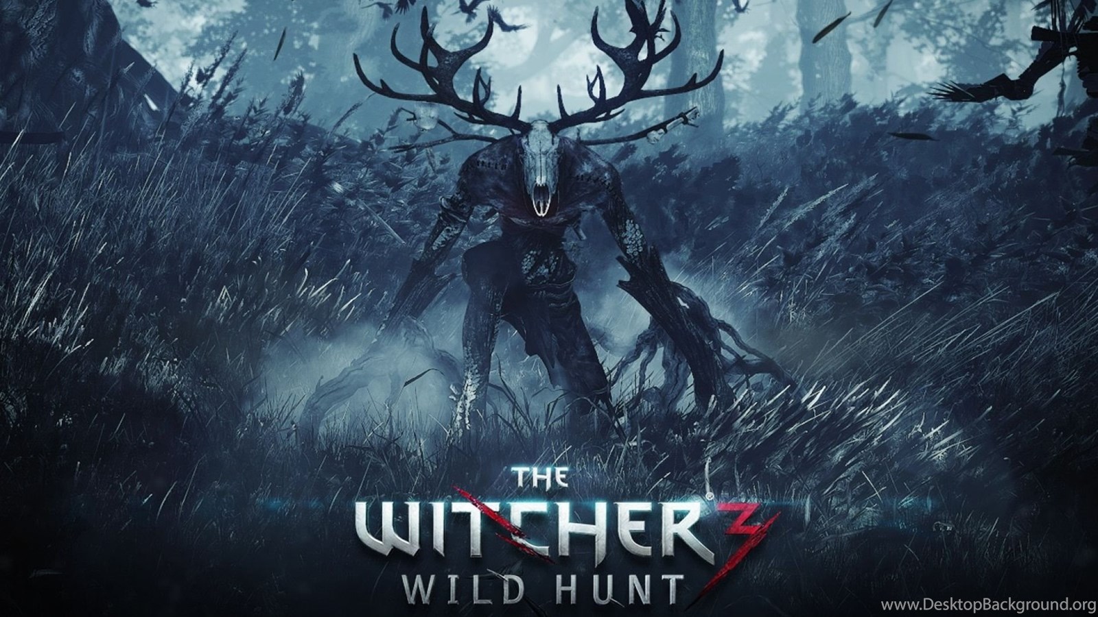 The Witcher 3: Wild Hunt Wallpapers