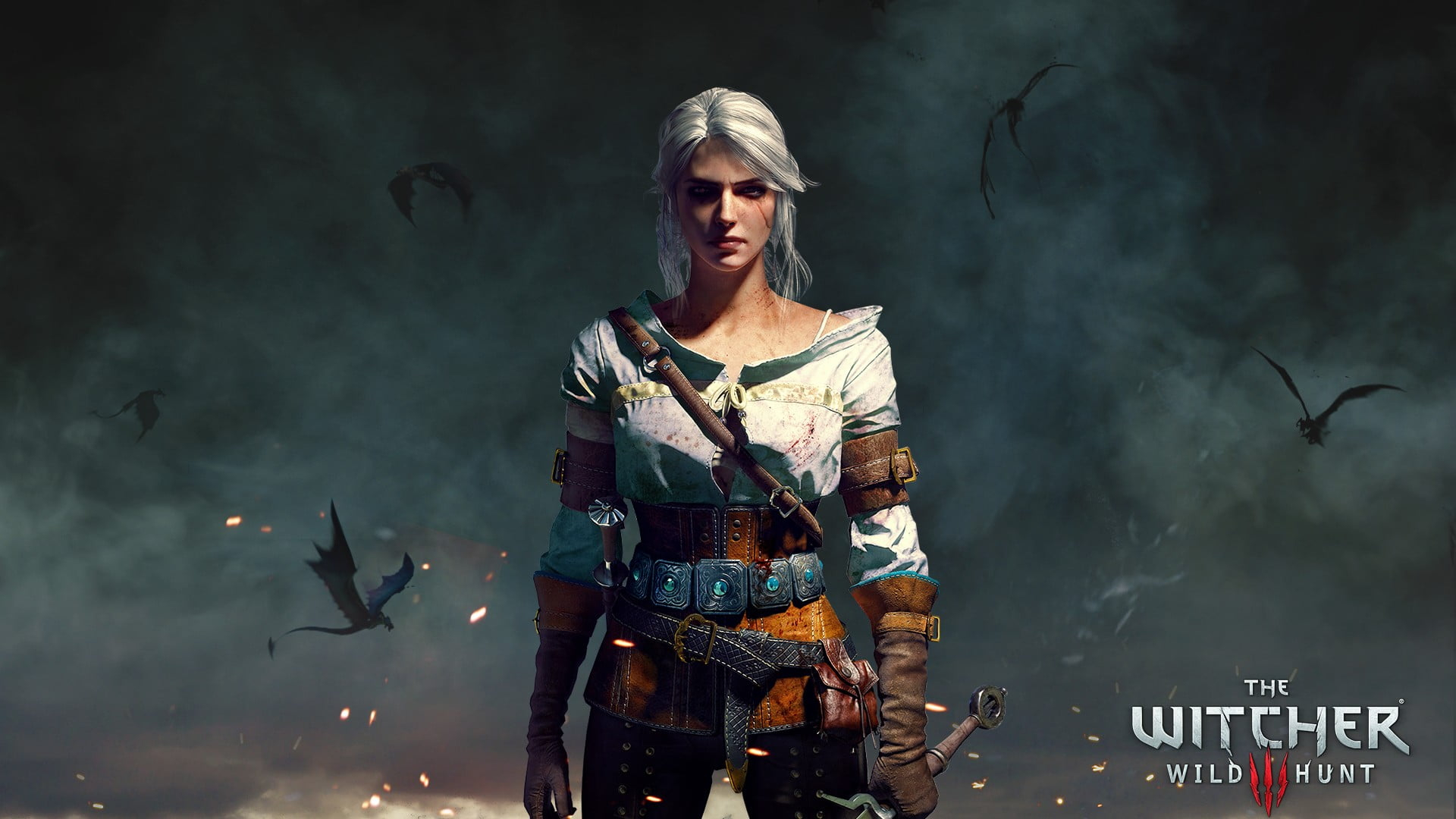 The Witcher 3: Wild Hunt Wallpapers