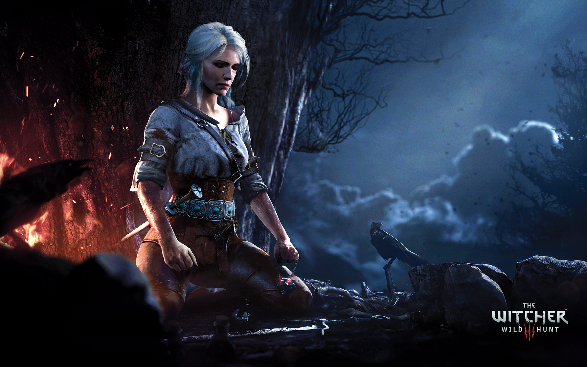 The Witcher 3 Wild Hunt Artwork Wallpapers