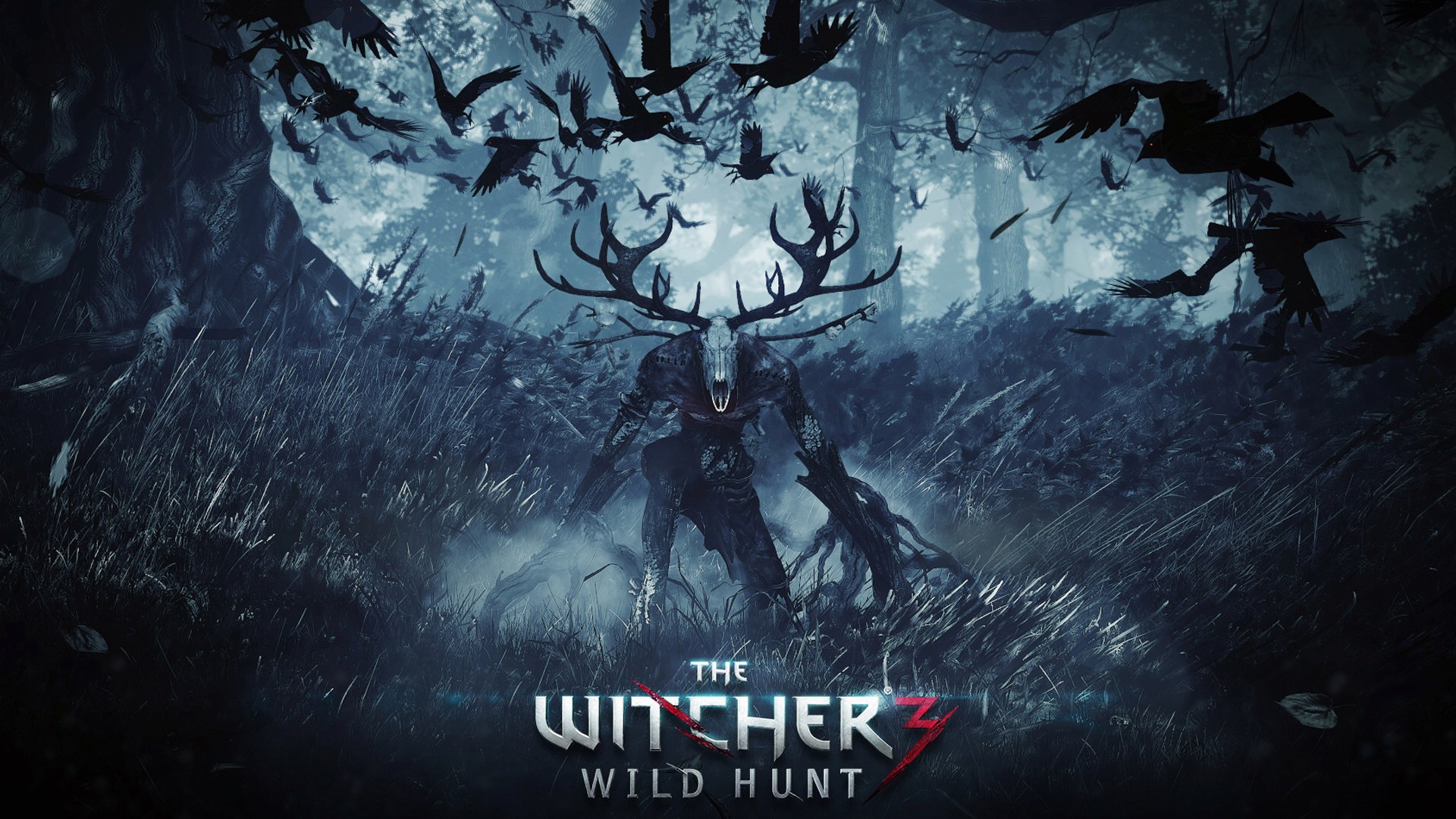 The Witcher Wallpapers