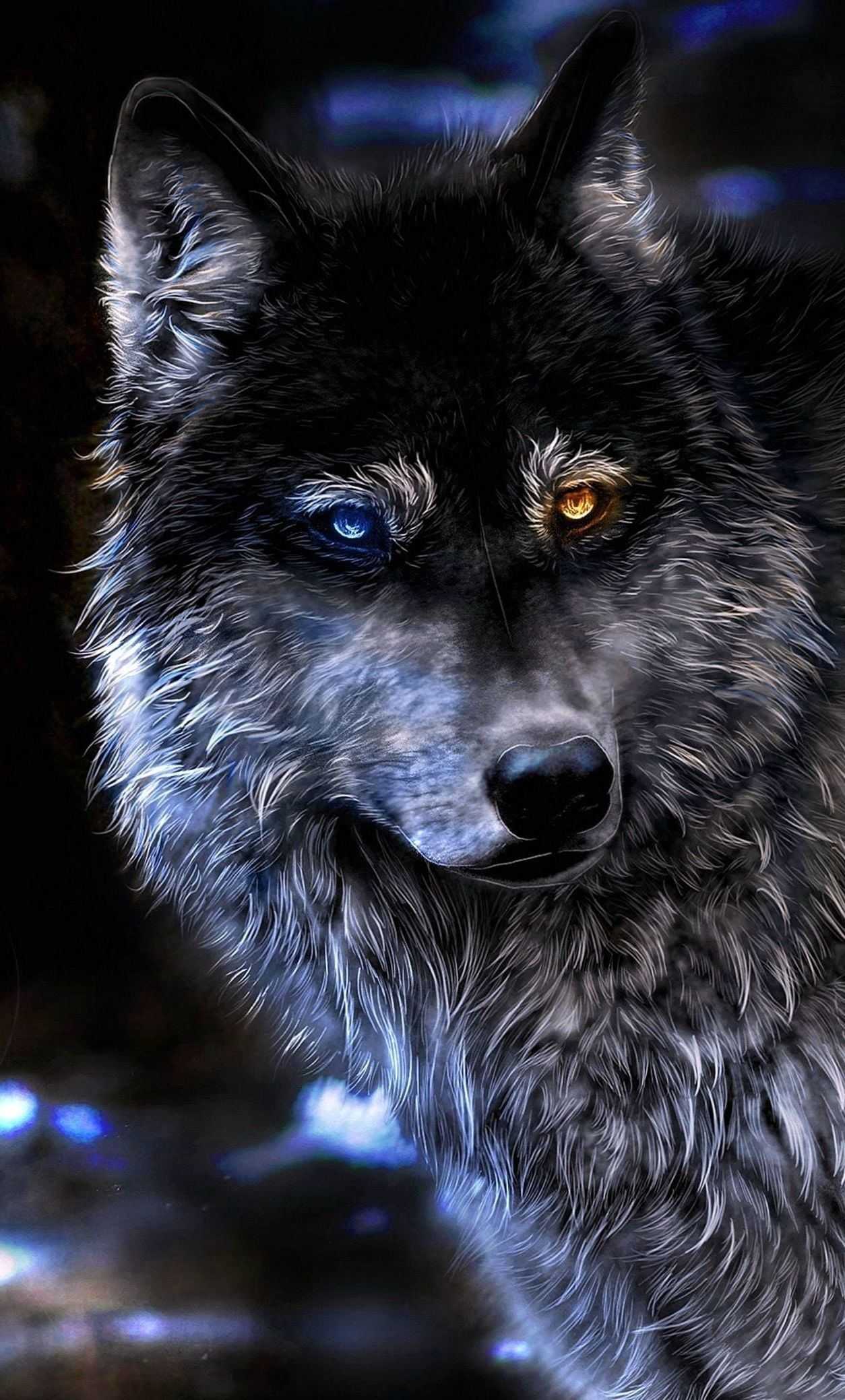 The Wolf Wallpapers