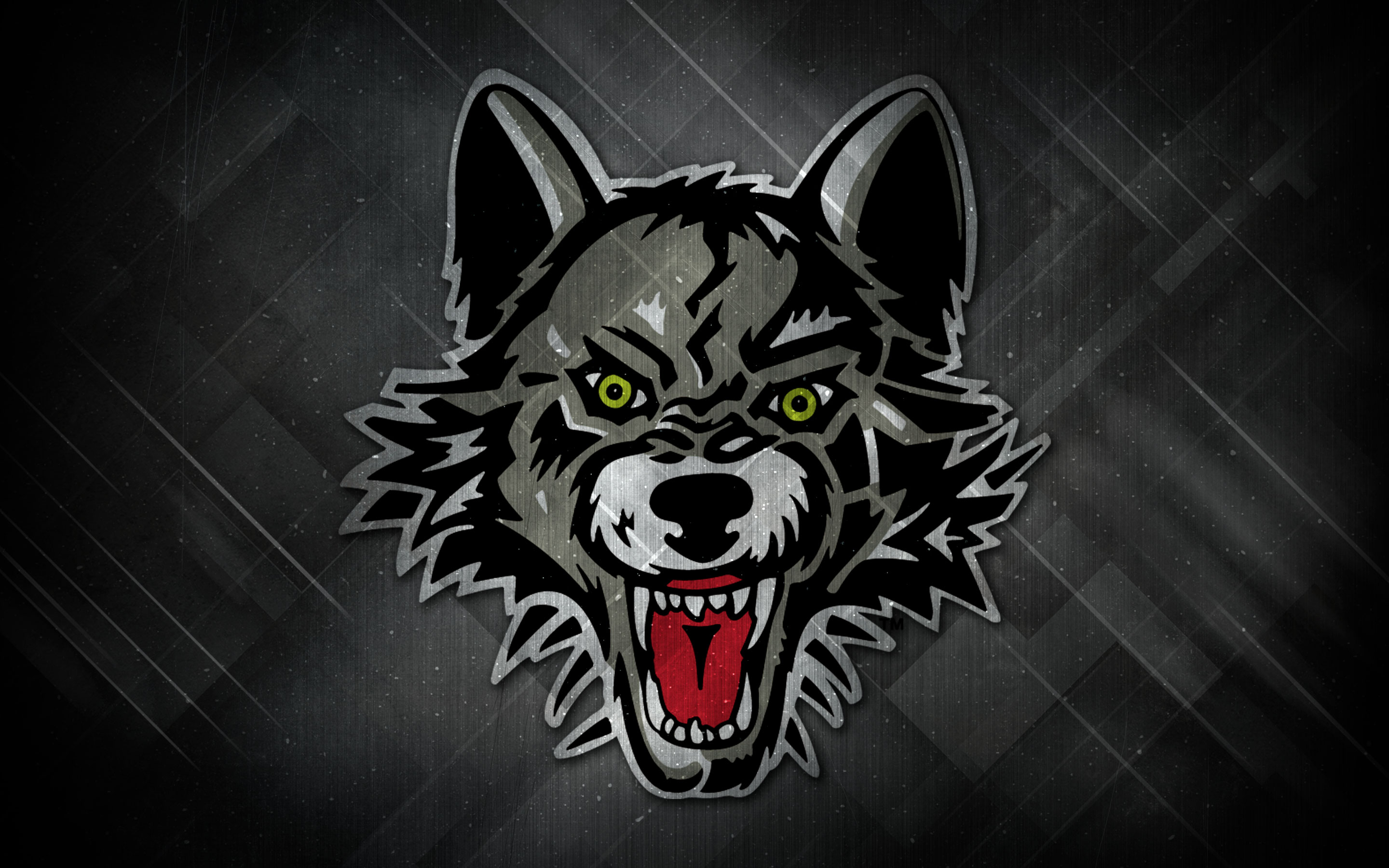 The Wolf Wallpapers