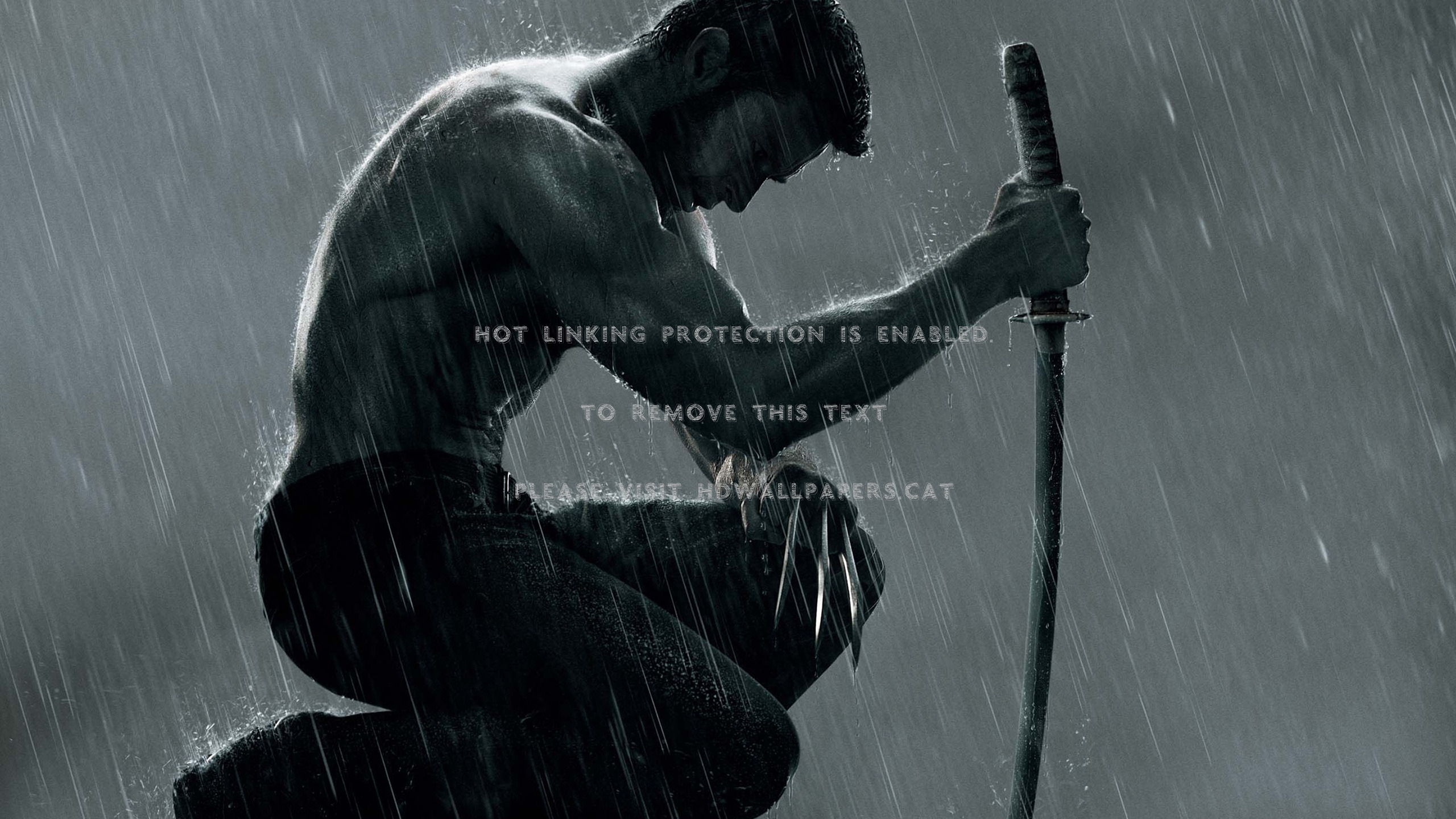 The Wolverine Wallpapers