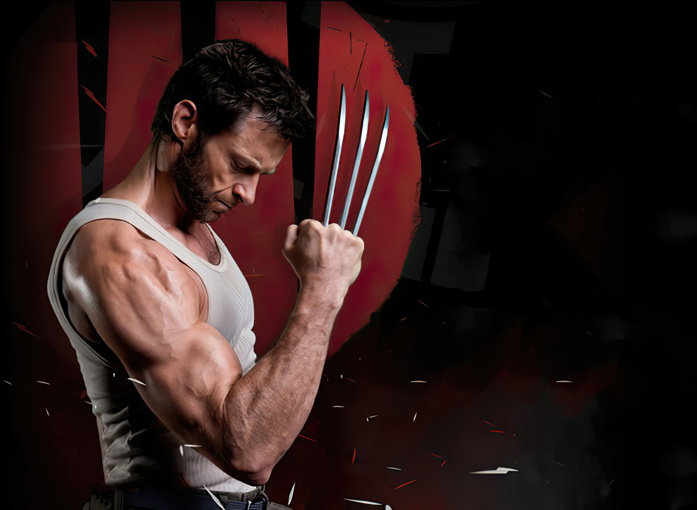 The Wolverine Wallpapers