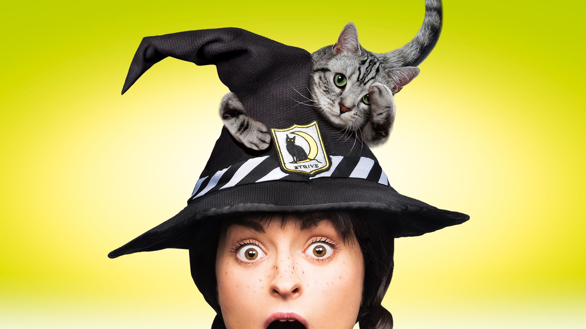 The Worst Witch Wallpapers