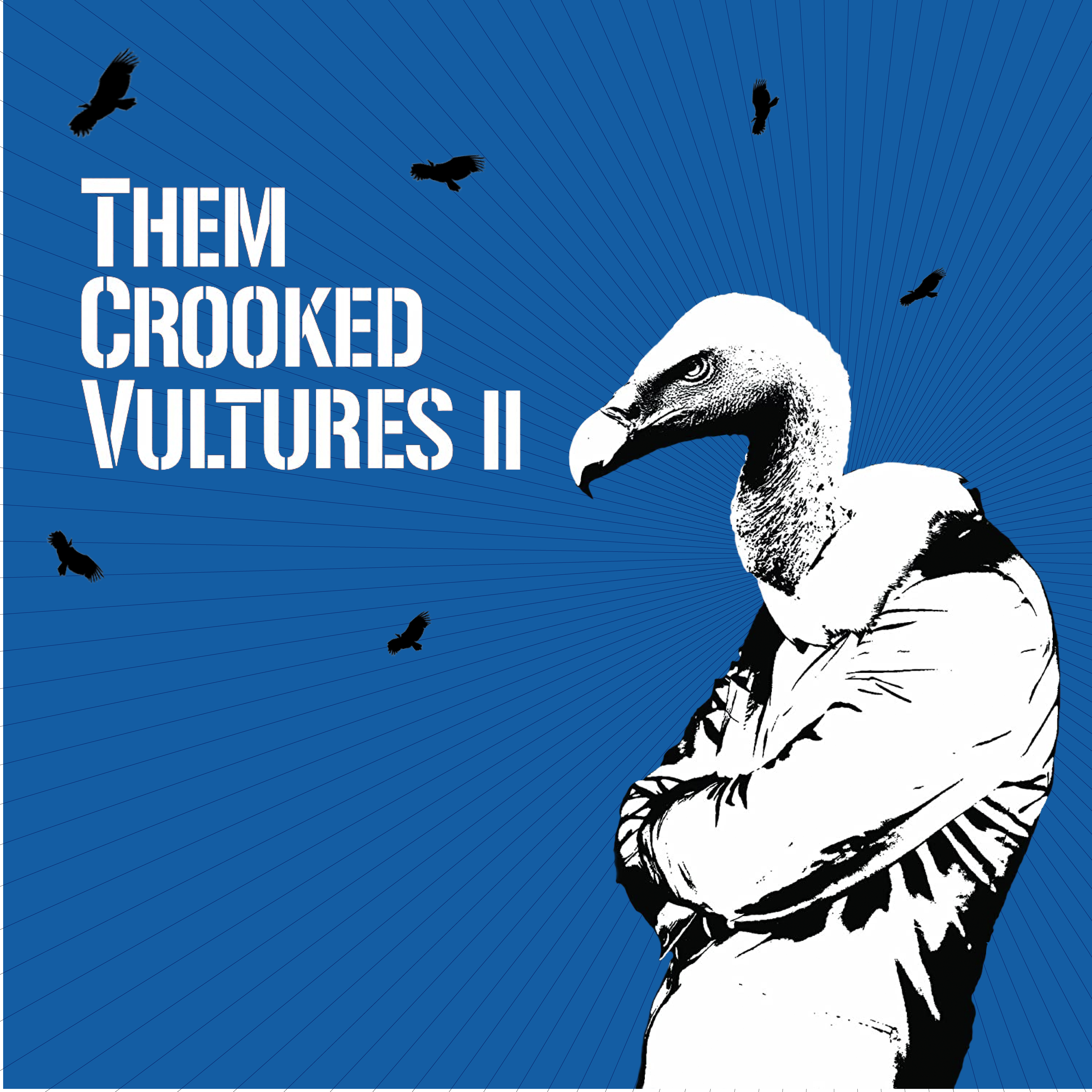 Them Crooked Vultures Wallpapers