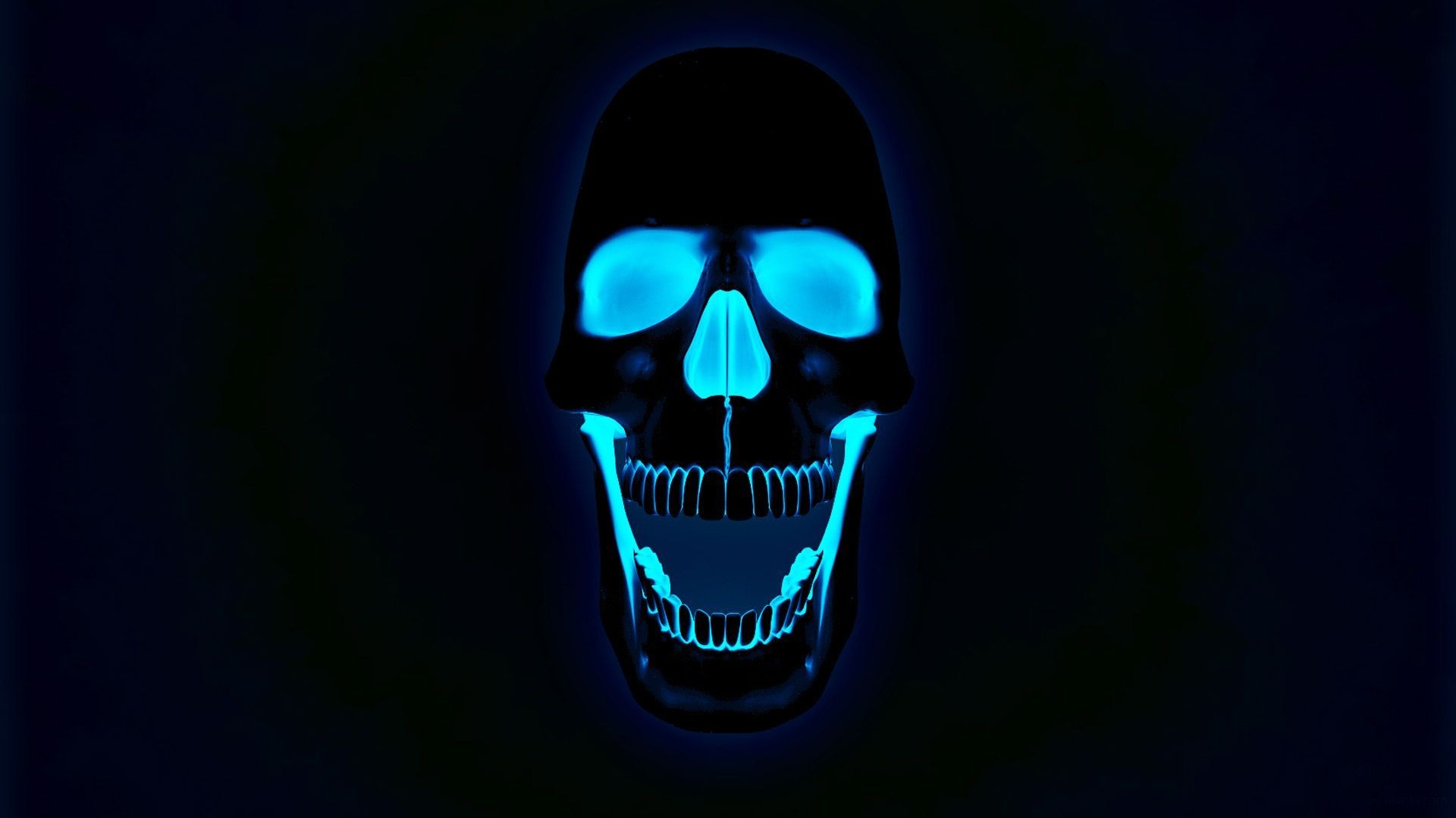 Thin Blue Line Skull Desktop Wallpapers