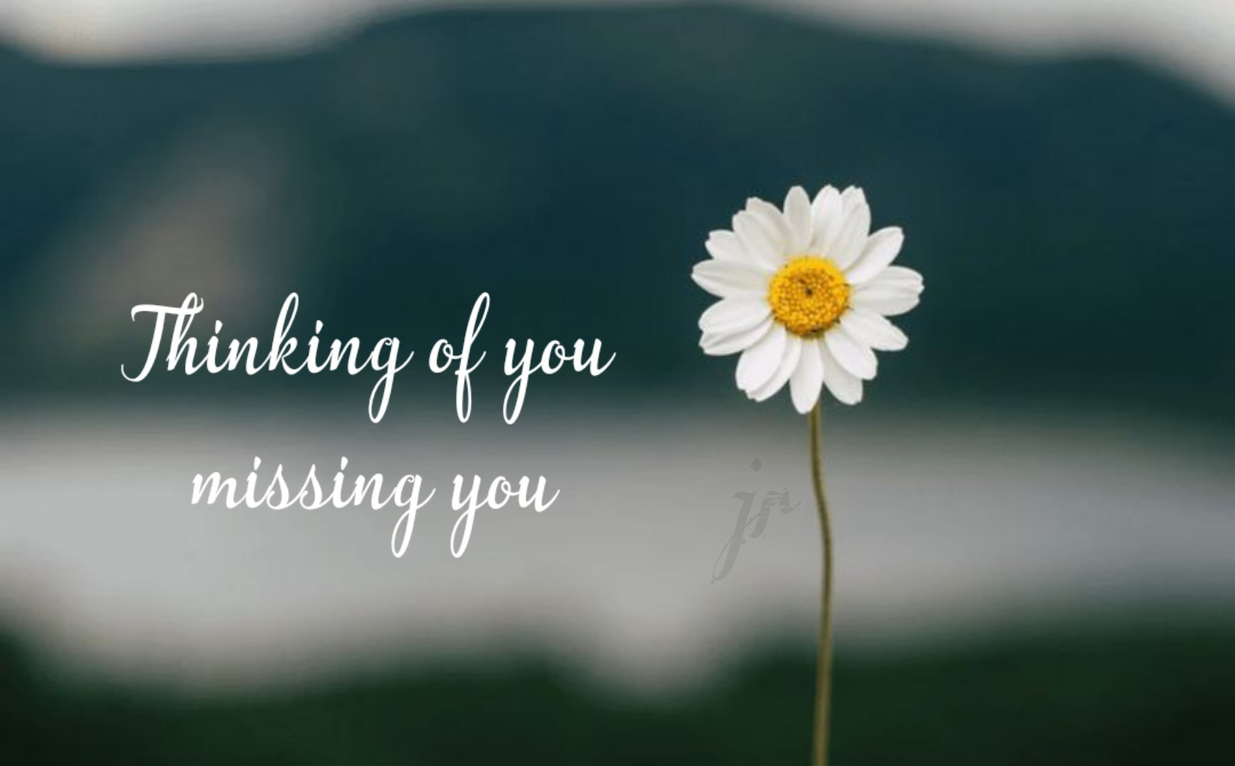 Thinking Of You Wallpapers