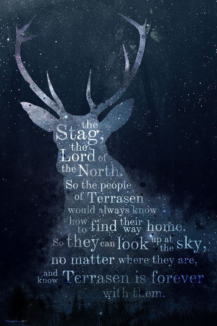 Throne Of Glass Wallpapers