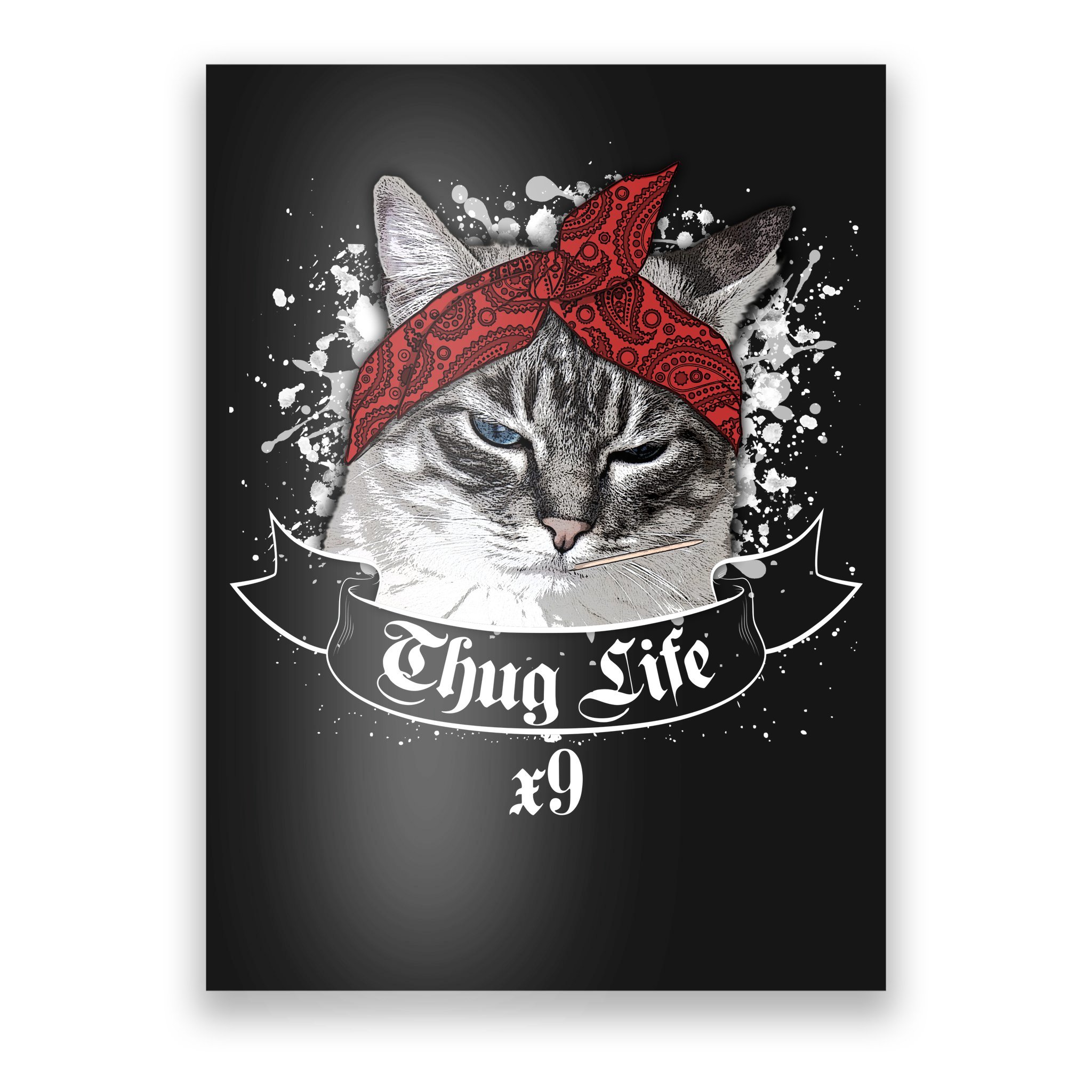 Thug Cat Wallpapers