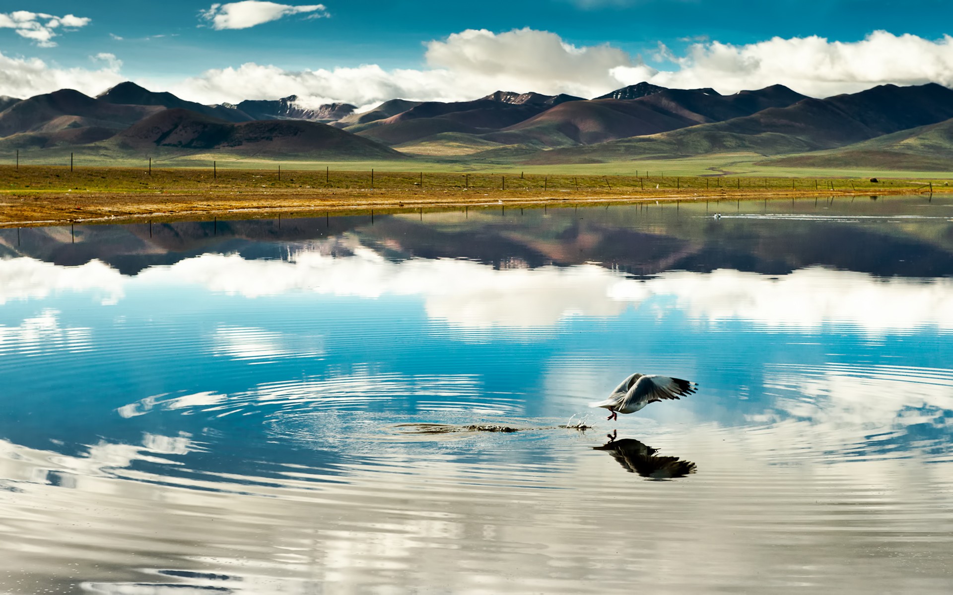 Tibet Wallpapers