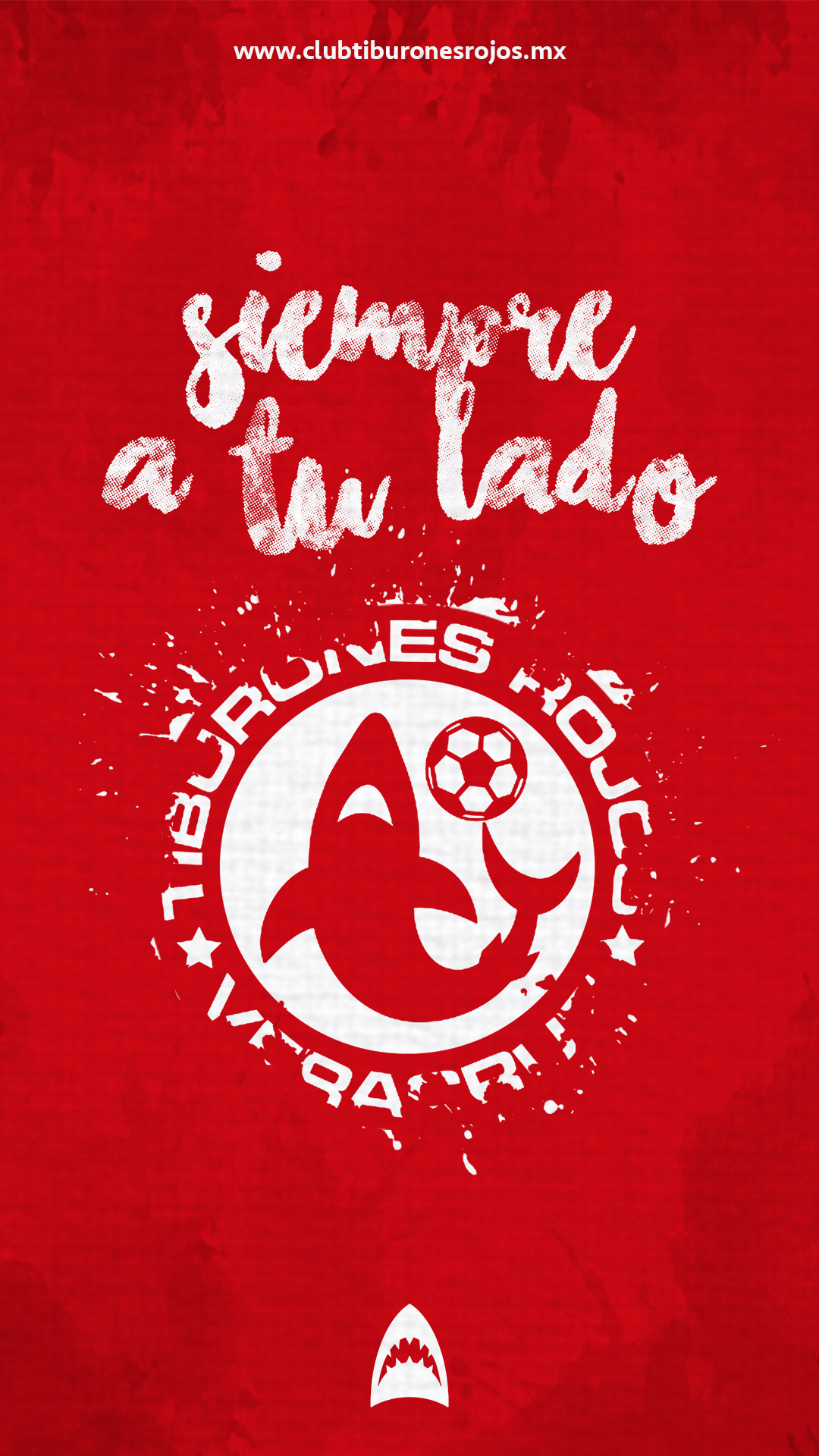 Tiburones Rojos De Veracruz Wallpapers